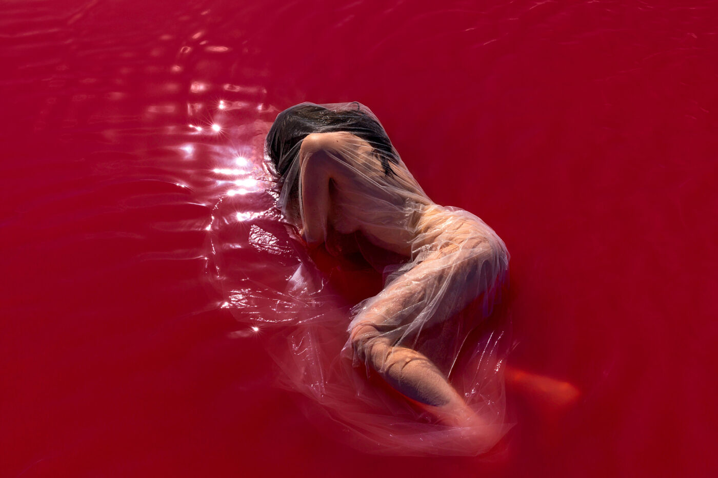 Others Dream Exhibition Work November, 2019 by Lilli Waters 