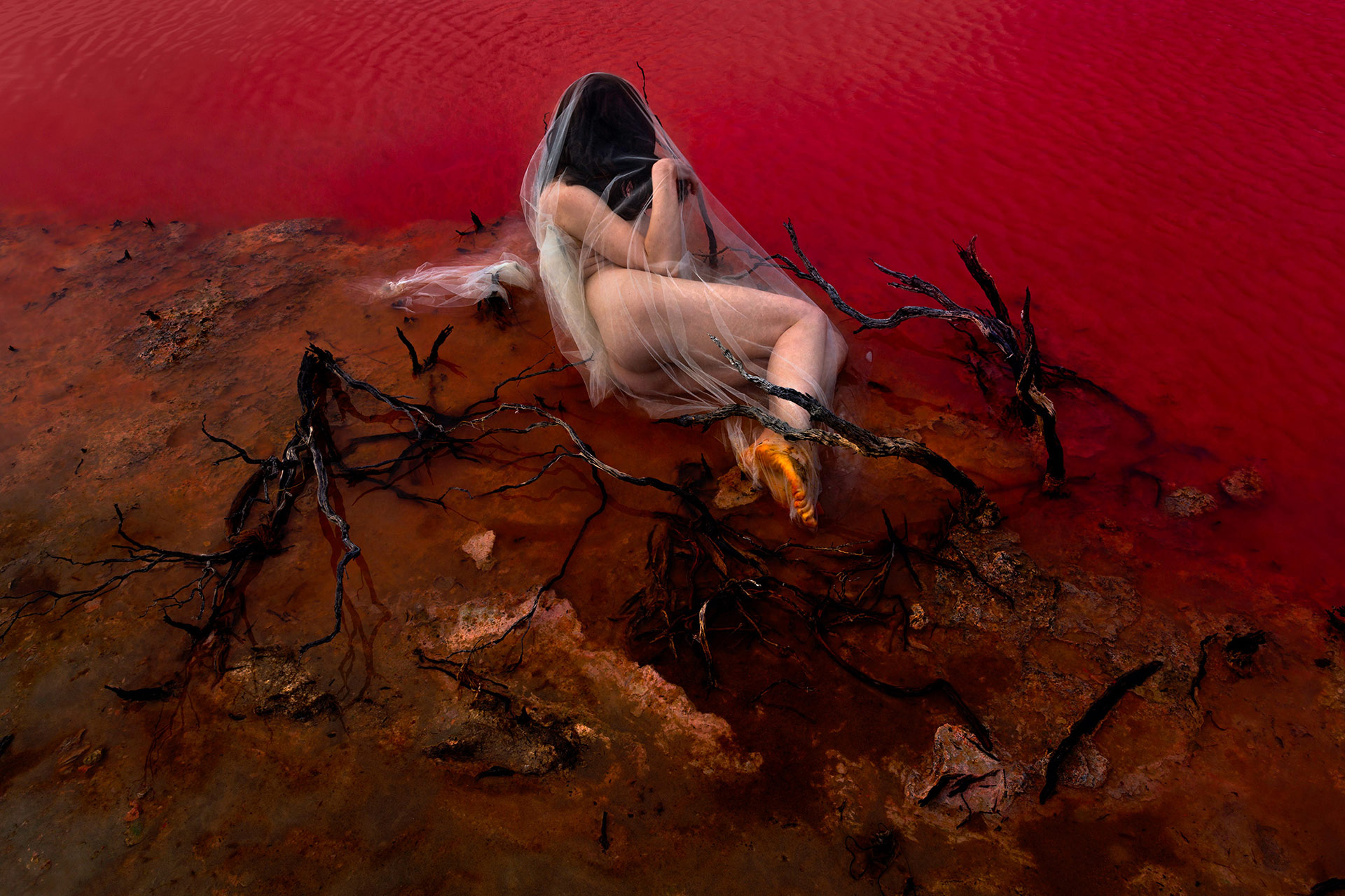 Others Dream Exhibition Work November, 2019 by  Lilli Waters