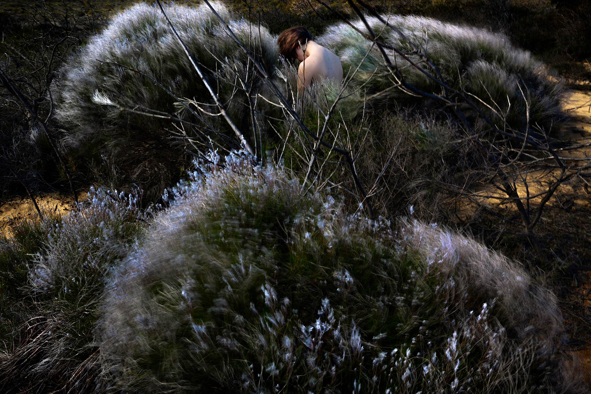 Others Dream Exhibition Work November, 2019 by  Lilli Waters