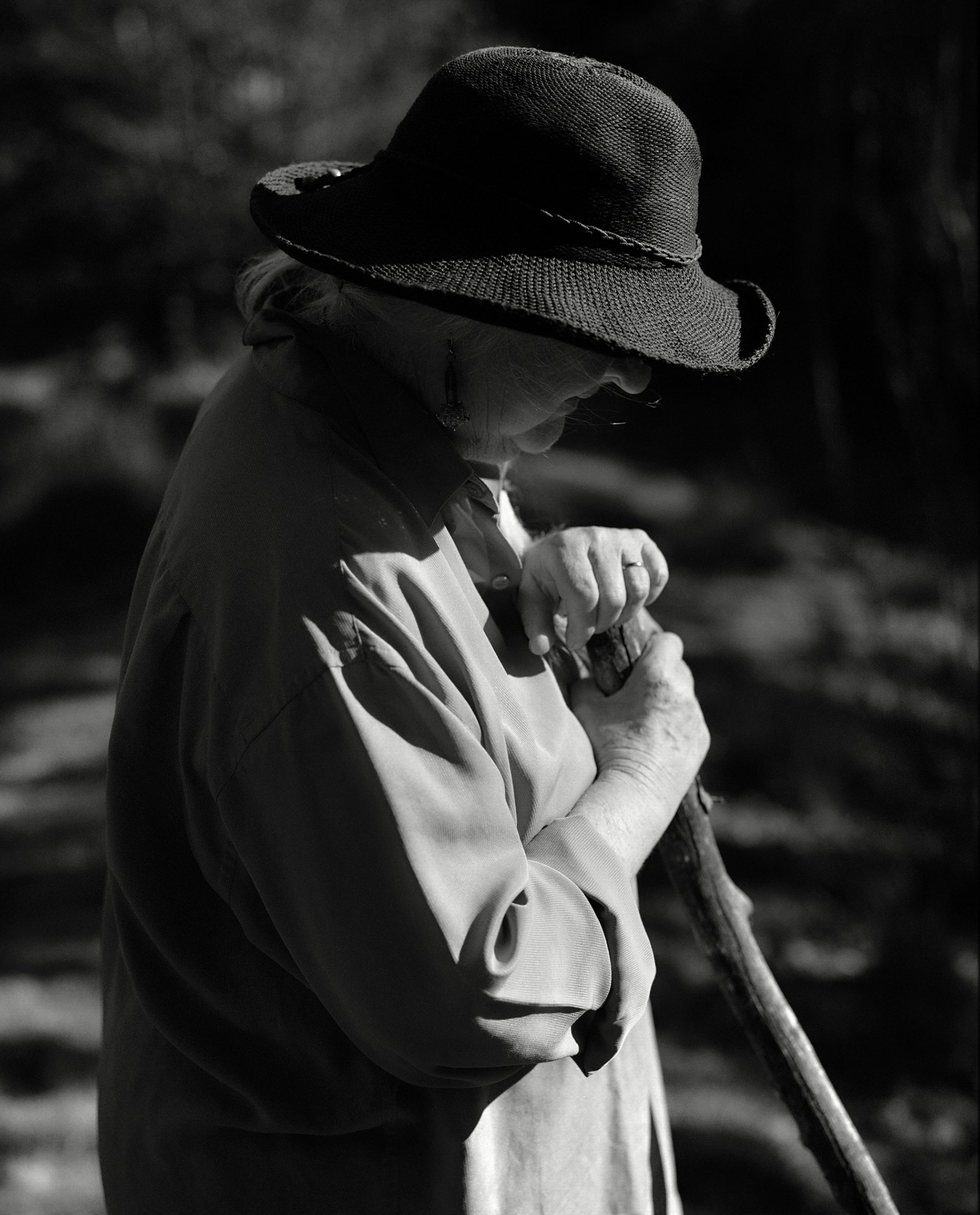 Ruth & Barry's Garden Personal work February, 2023 by  Lilli Waters