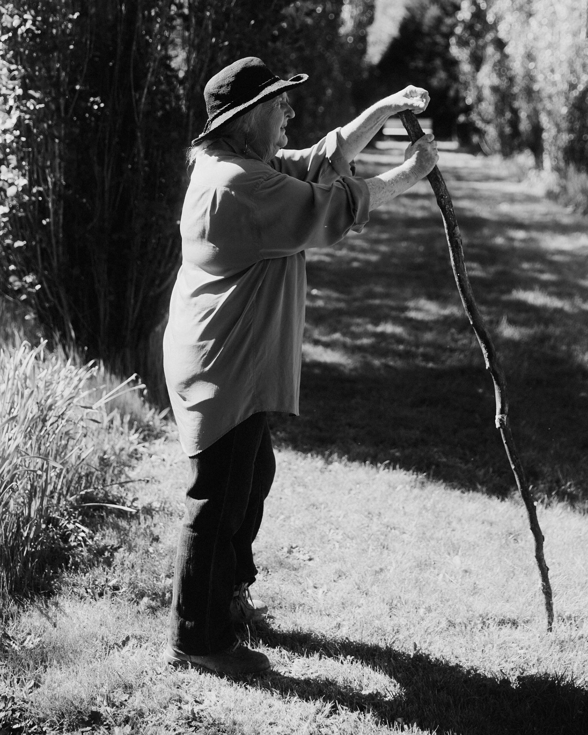 Ruth & Barry's Garden Personal work February, 2023 by  Lilli Waters