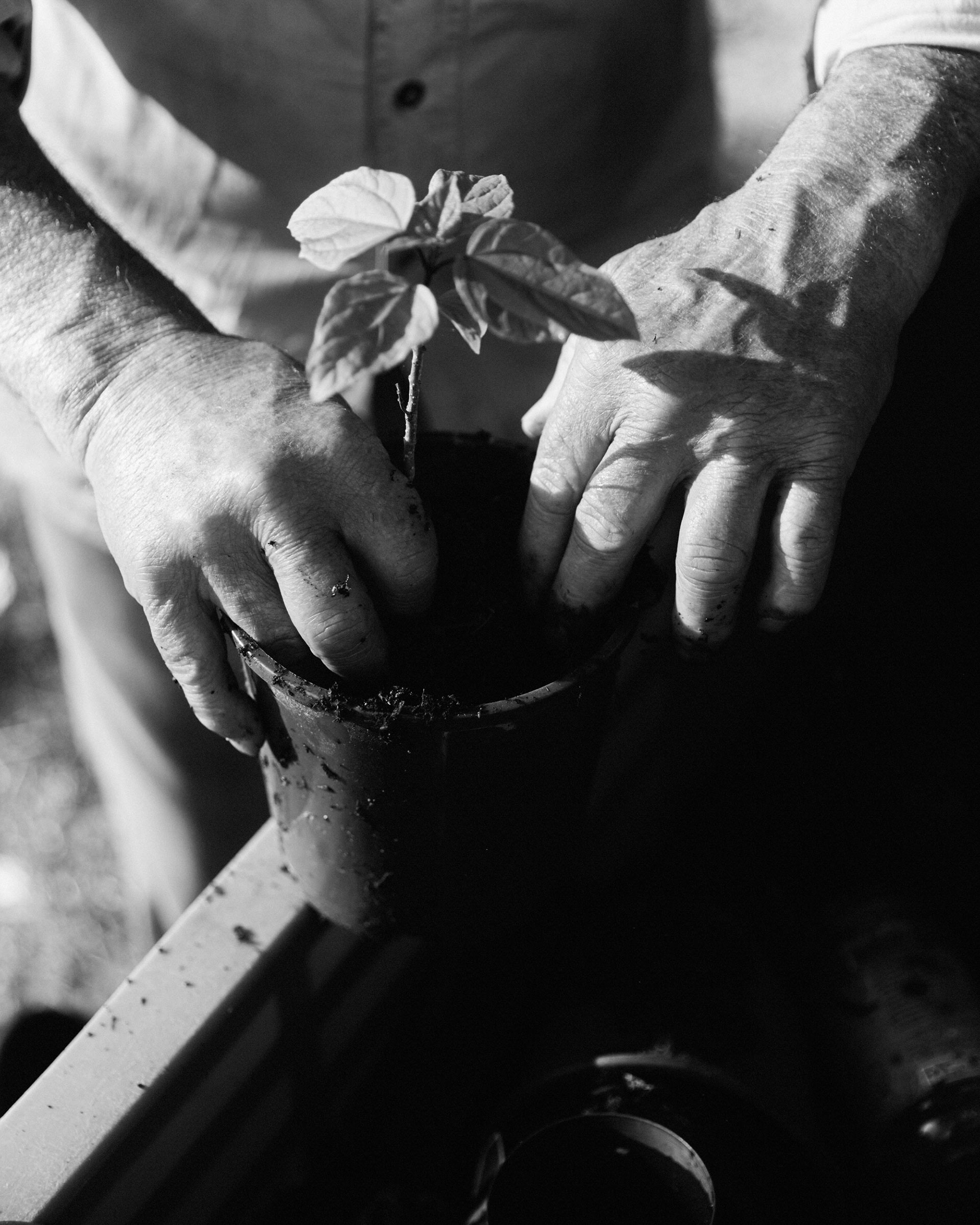 Ruth & Barry's Garden Personal work February, 2023 by  Lilli Waters