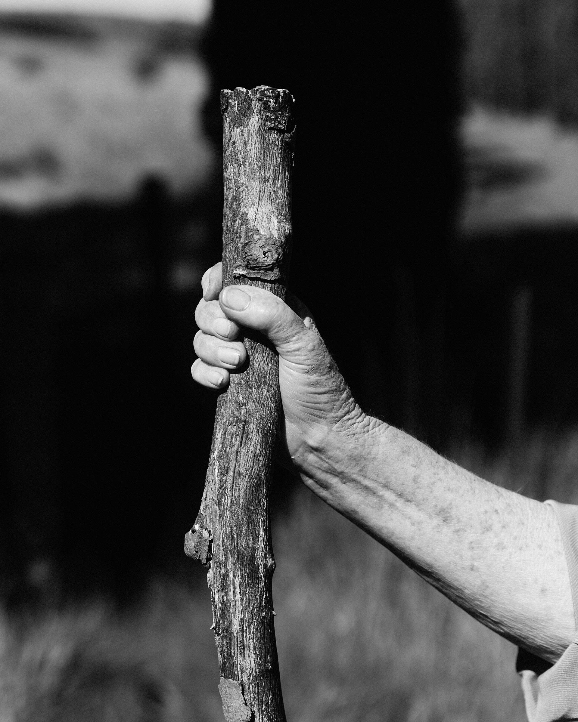 Ruth & Barry's Garden Personal work February, 2023 by  Lilli Waters