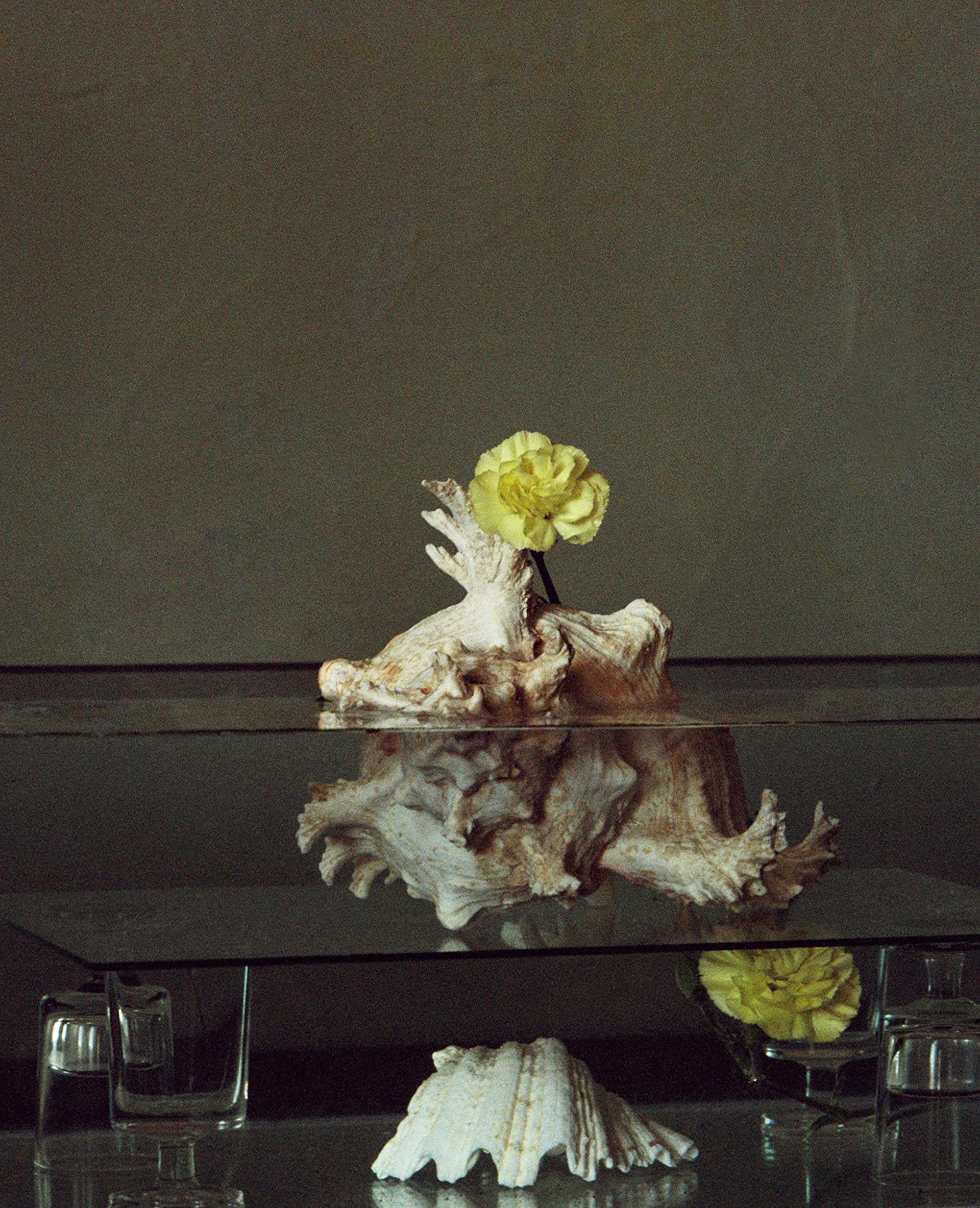 The Shape Of Water Personal Work February, 2021 by  Lilli Waters