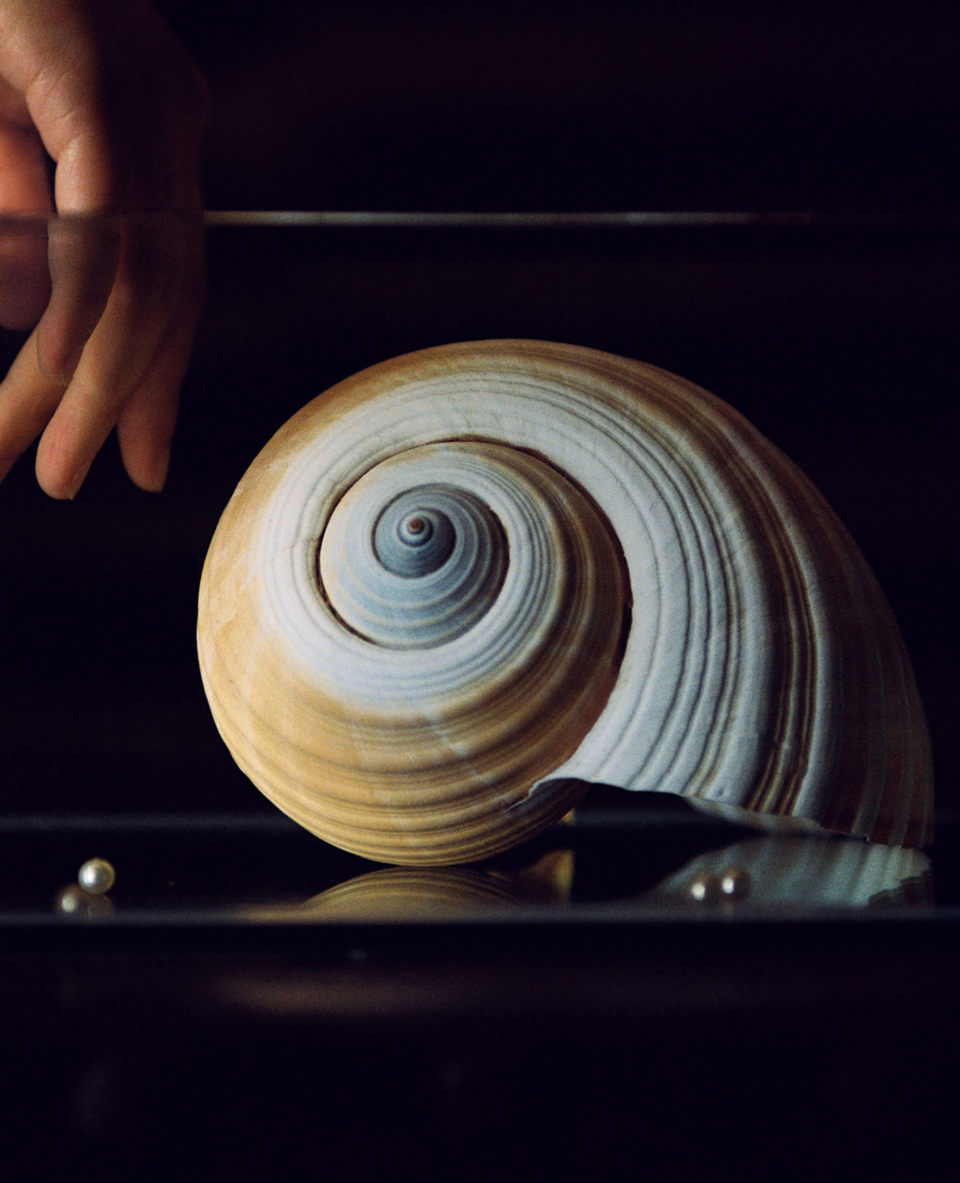 The Shape Of Water Personal Work February, 2021 by  Lilli Waters