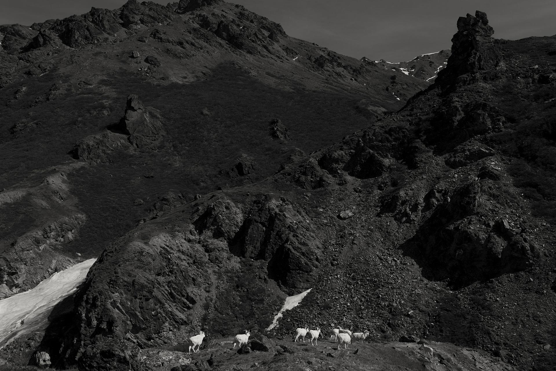 Travel series Iceland, Florence, Italy, Alaska Ongoing by  Lilli Waters