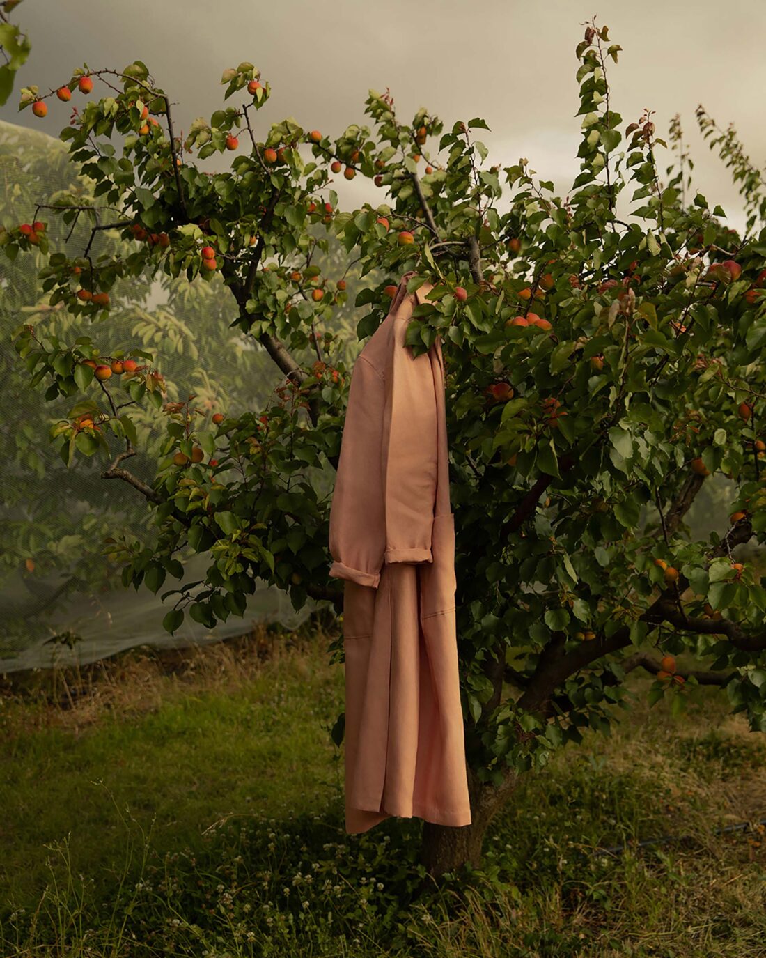 Muse The Label Spring 2020 January, 2020 by Lilli Waters 