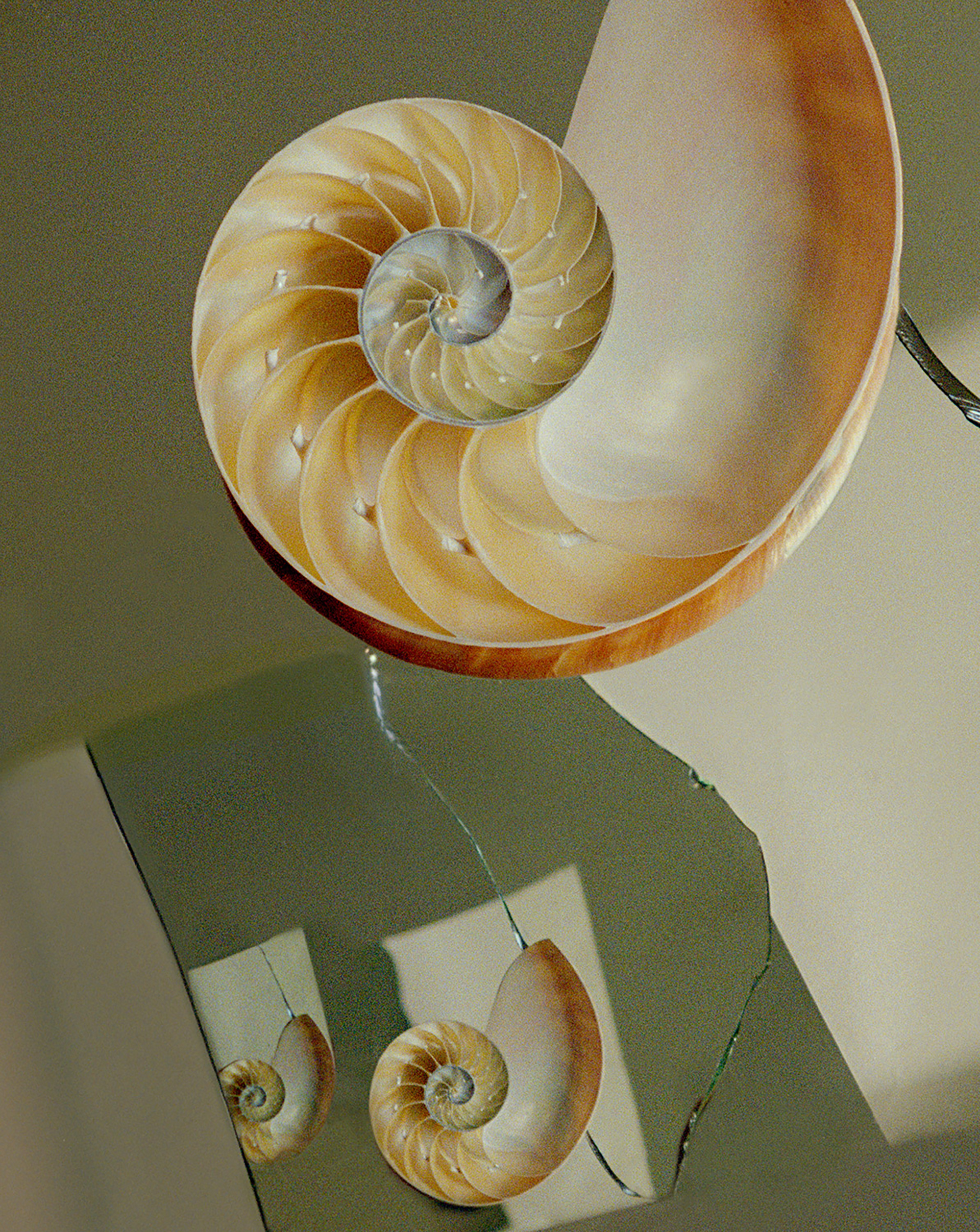 Jane Magazine Issue 9 January, 2021 by  Lilli Waters