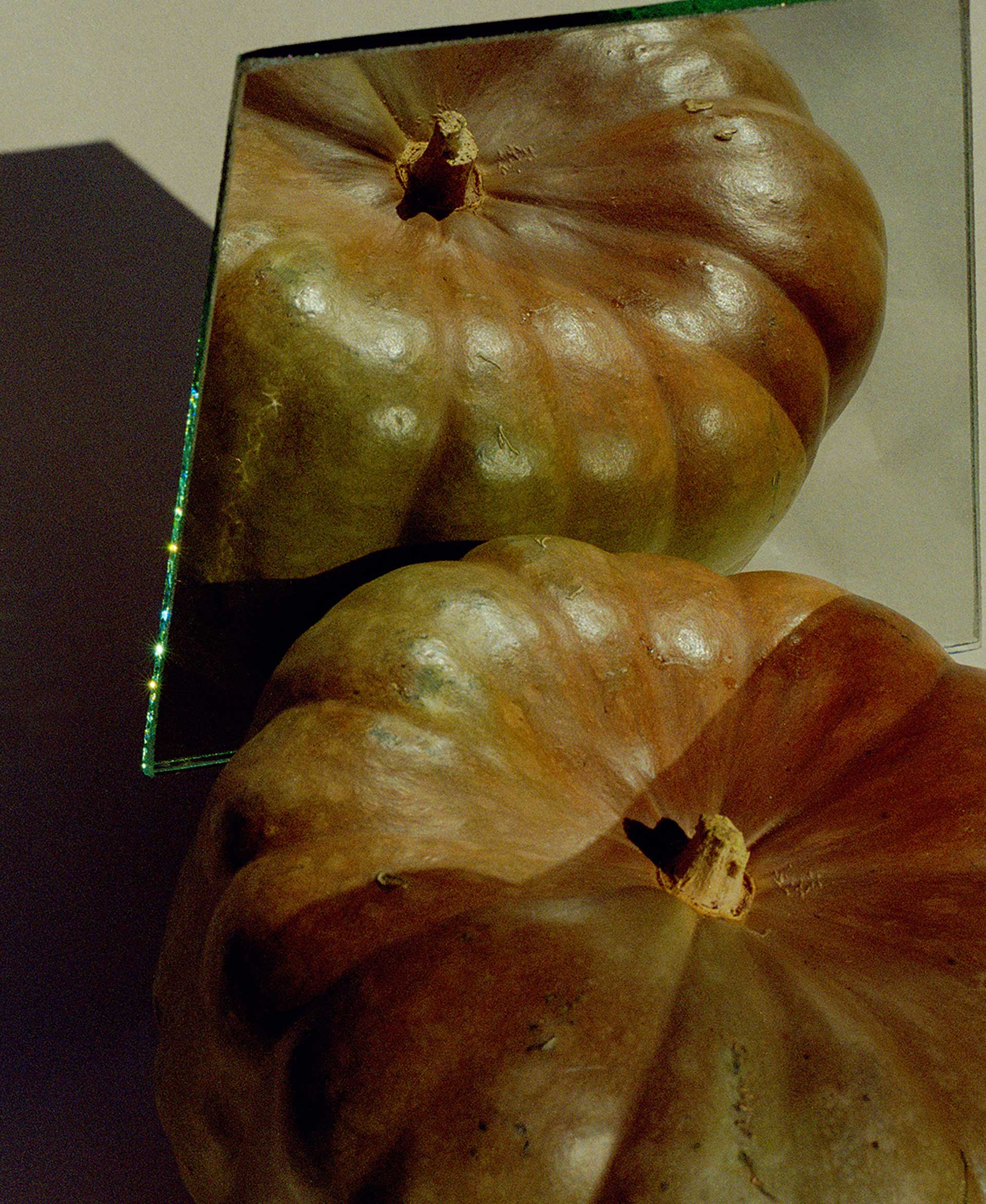 Flowers & Gardens Personal work Ongoing by  Lilli Waters