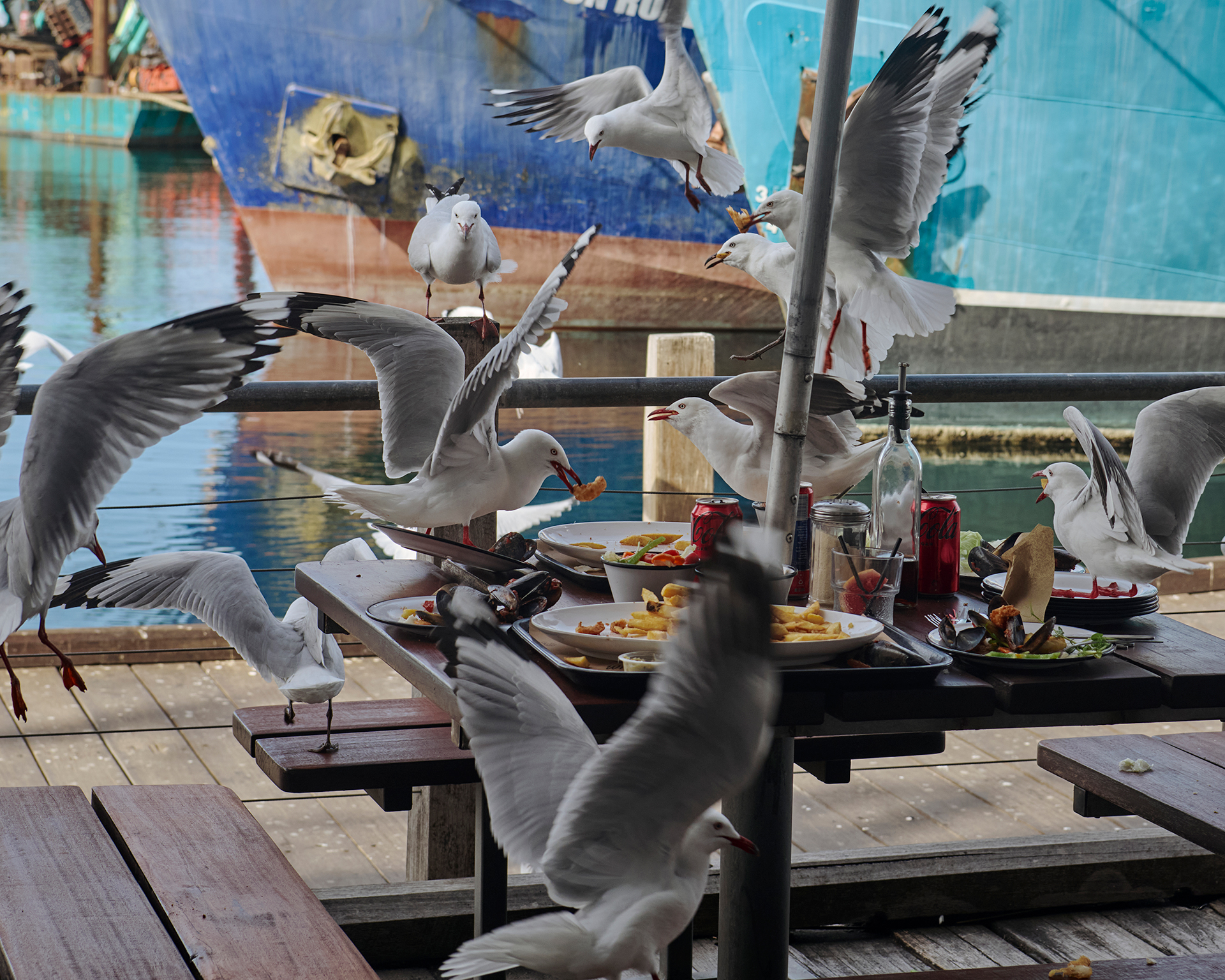 Monocle Magazine Freemantle July, 2024 by  Jo Duck