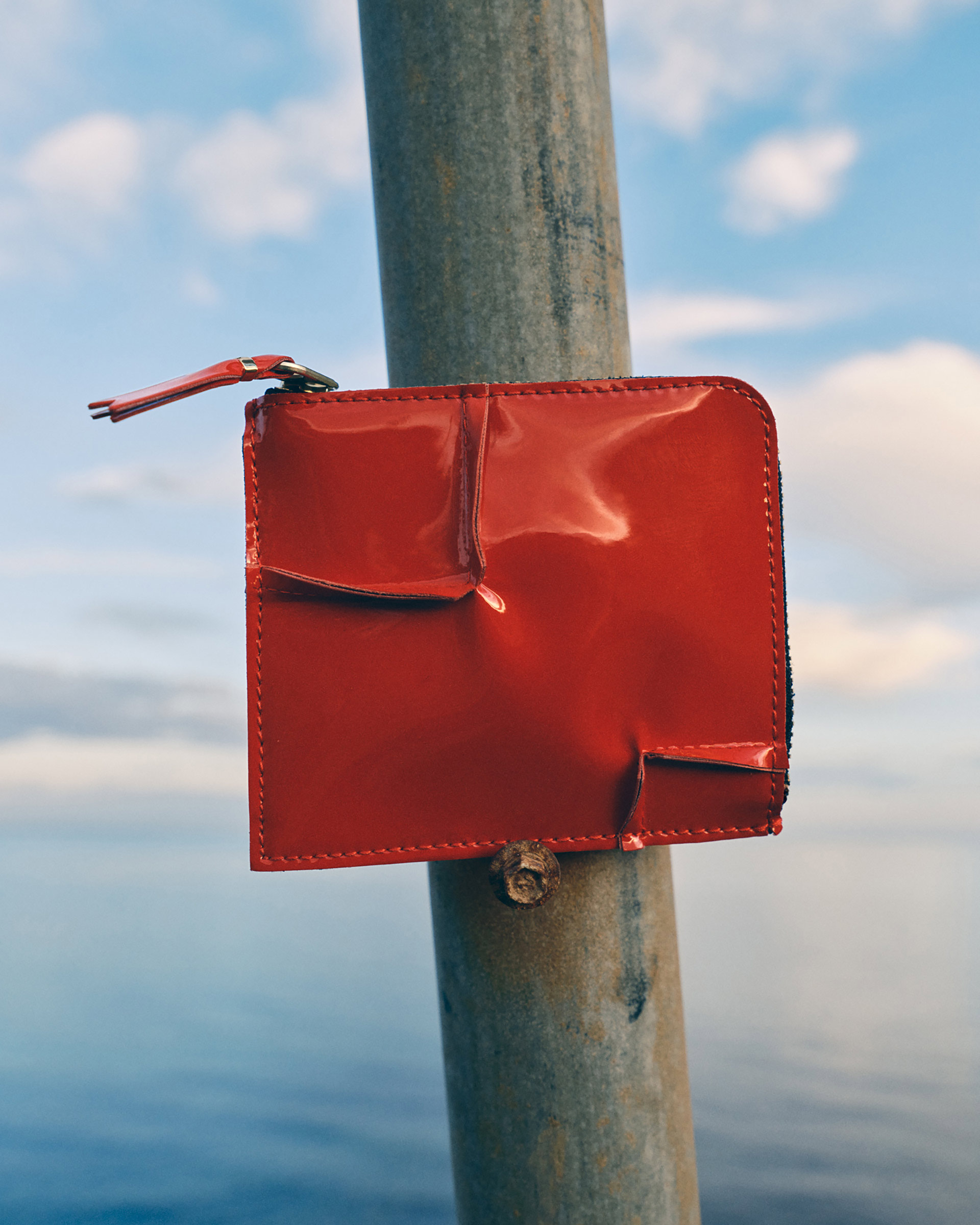 Personal work Camargue October, 2024 by  Victoria Zschommler