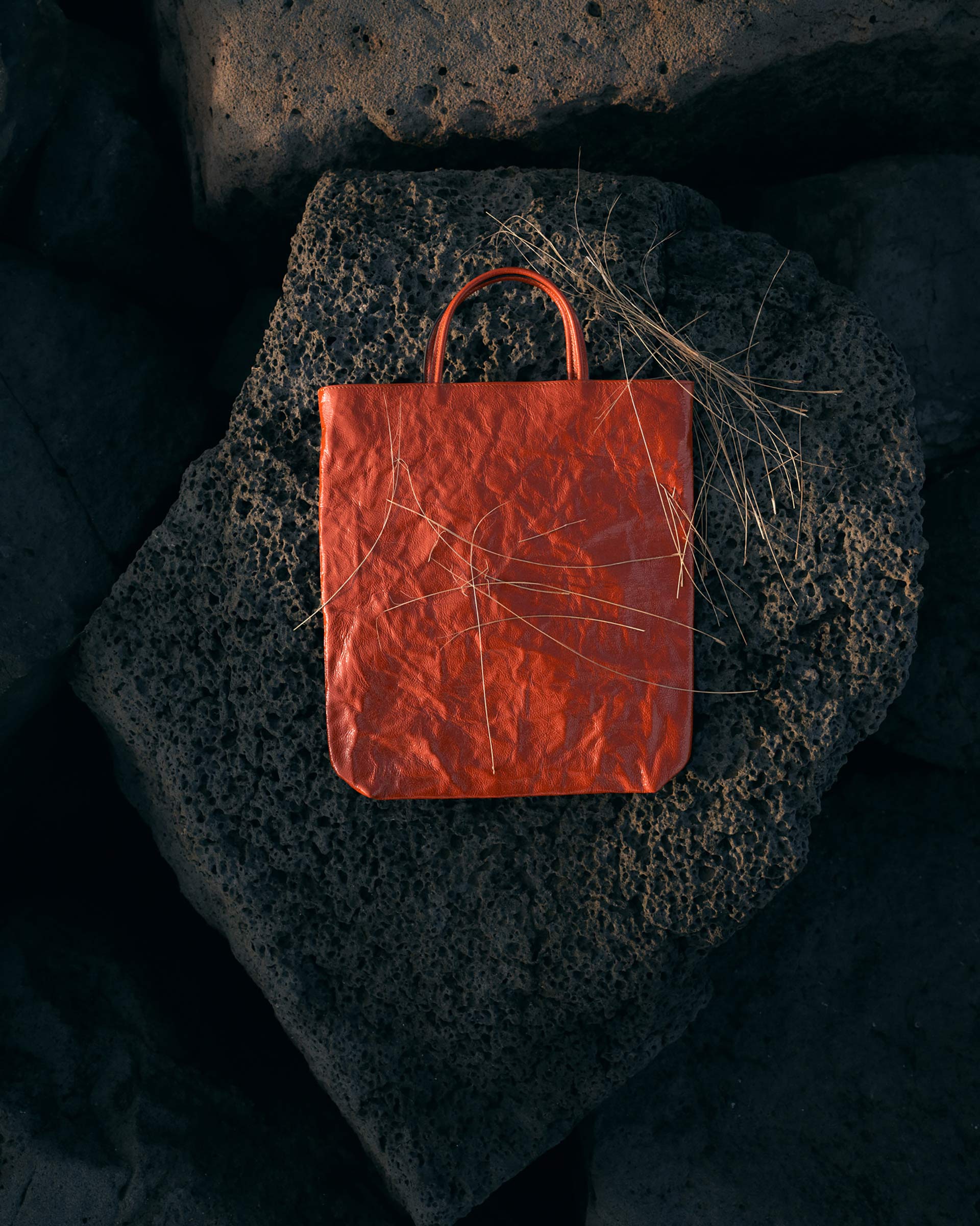 Personal work Camargue October, 2024 by  Victoria Zschommler