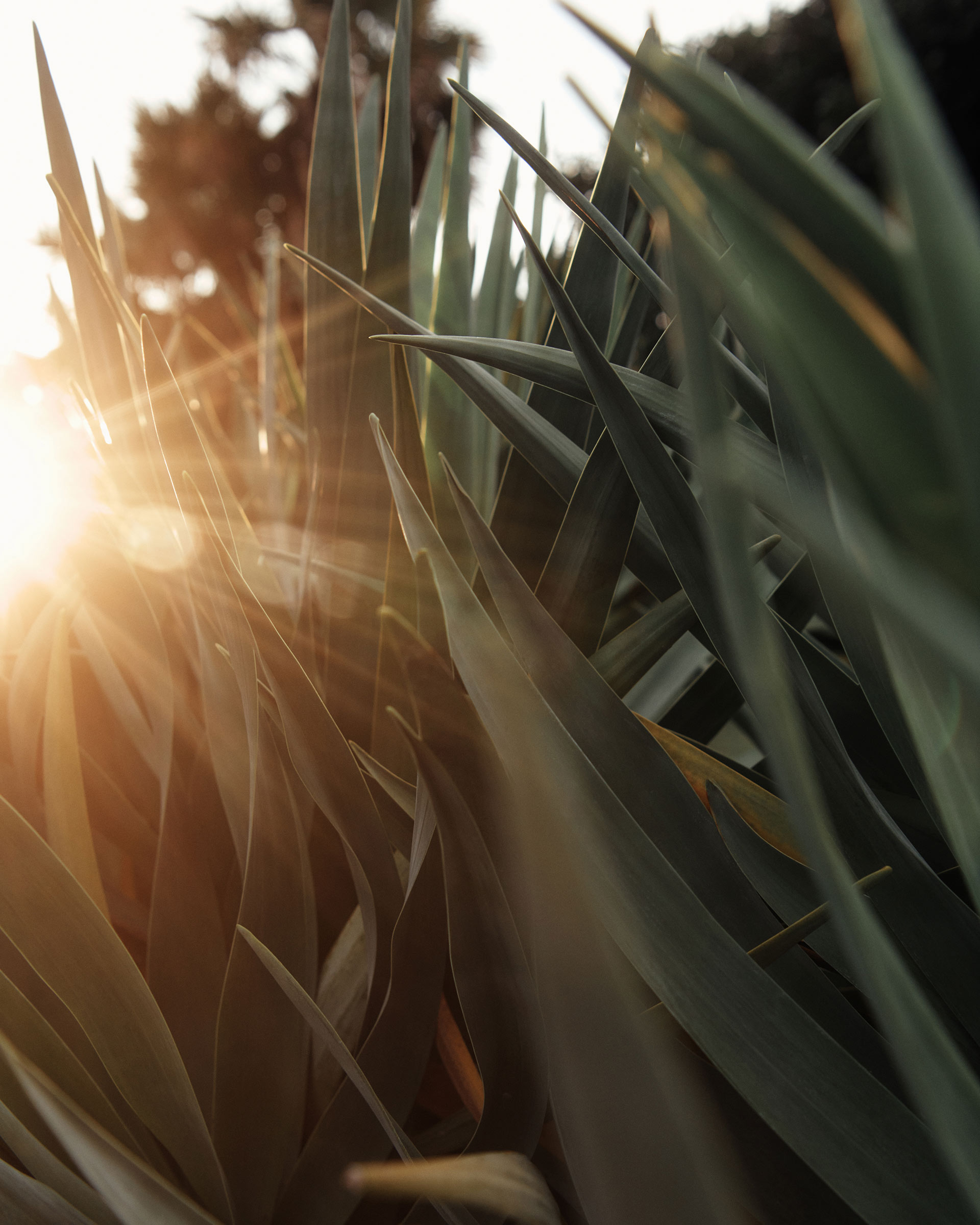 David Lawrence Summer October, 2024 by  Drew Wheeler