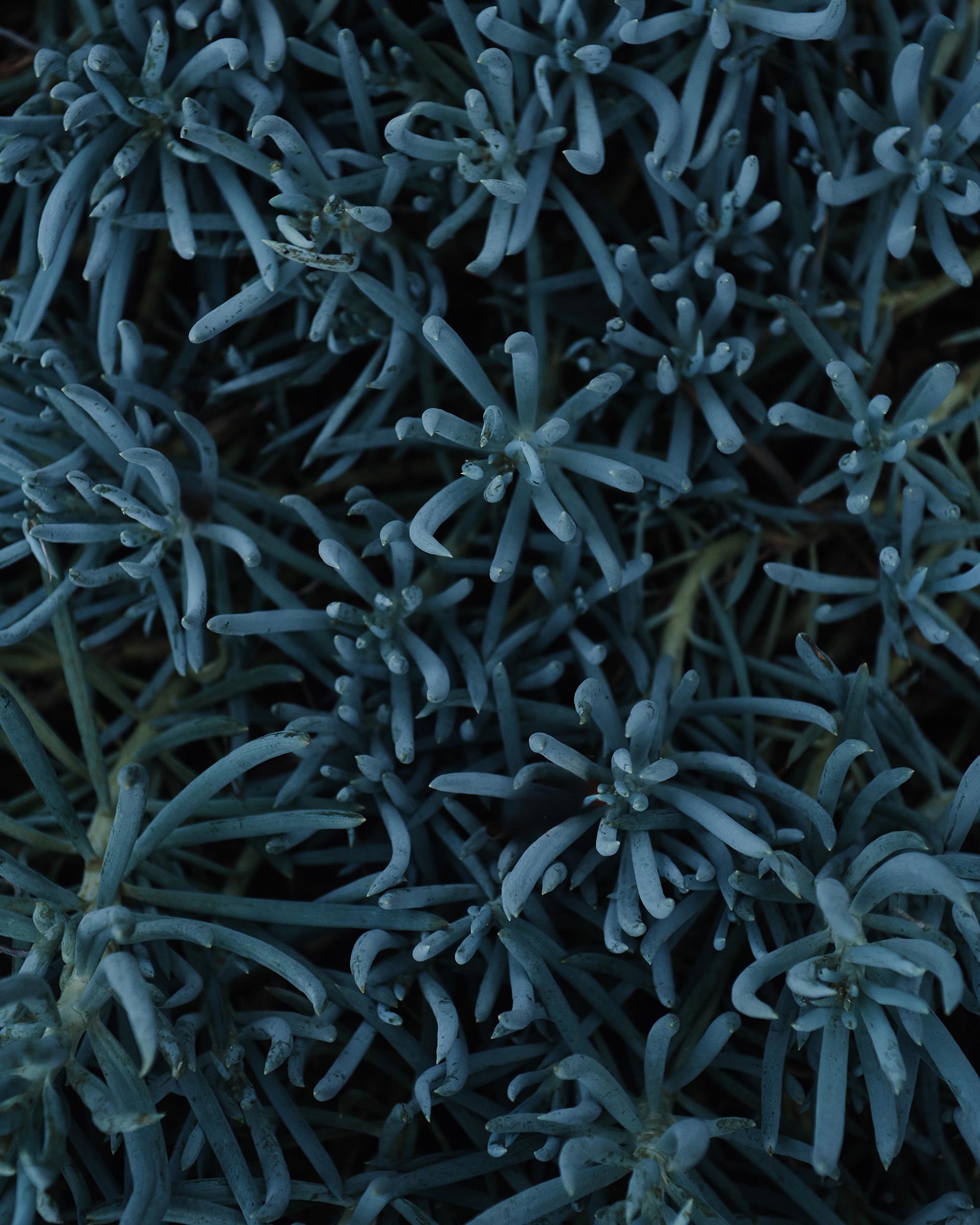 David Lawrence Summer October, 2024 by  Drew Wheeler