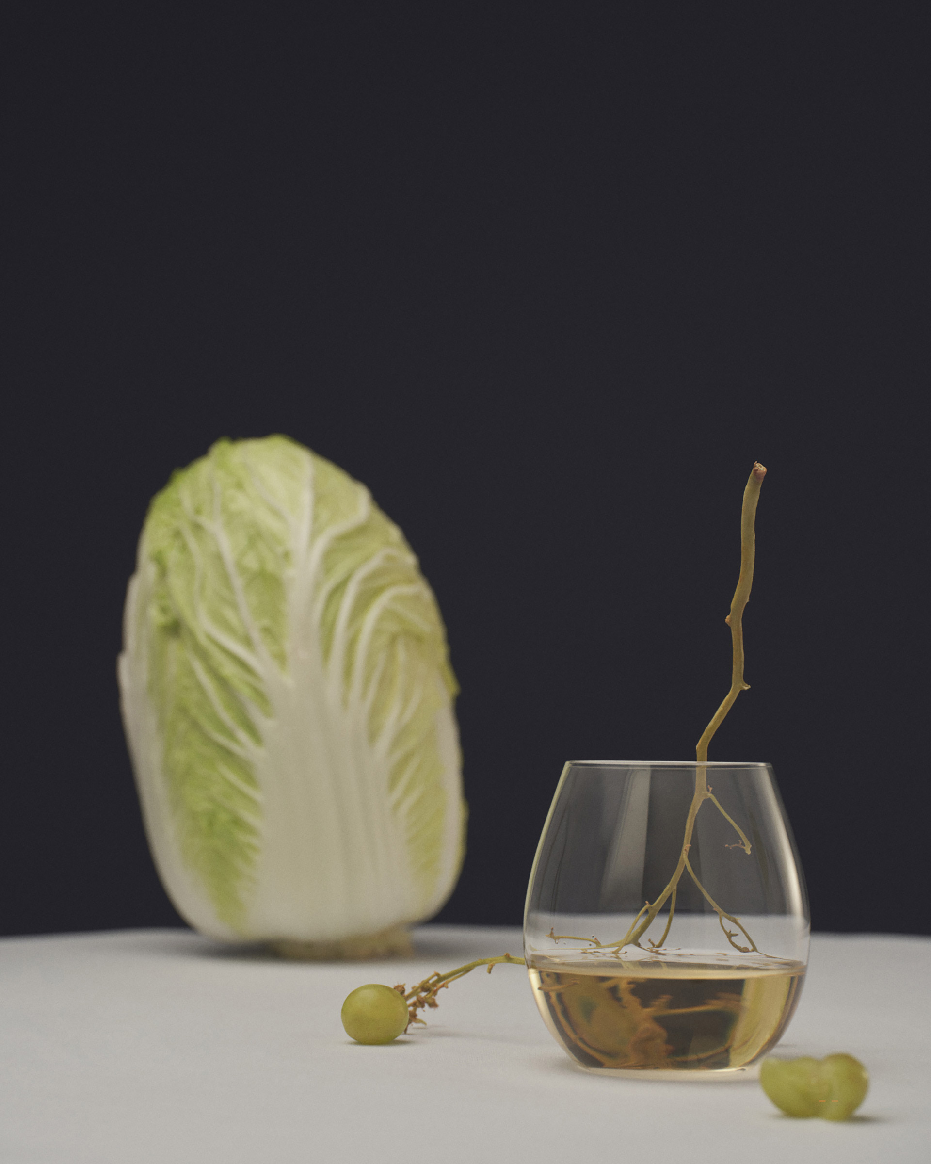 VNTNR Summer 2024 November, 2024 by  Victoria Zschommler Natalie Turnbull