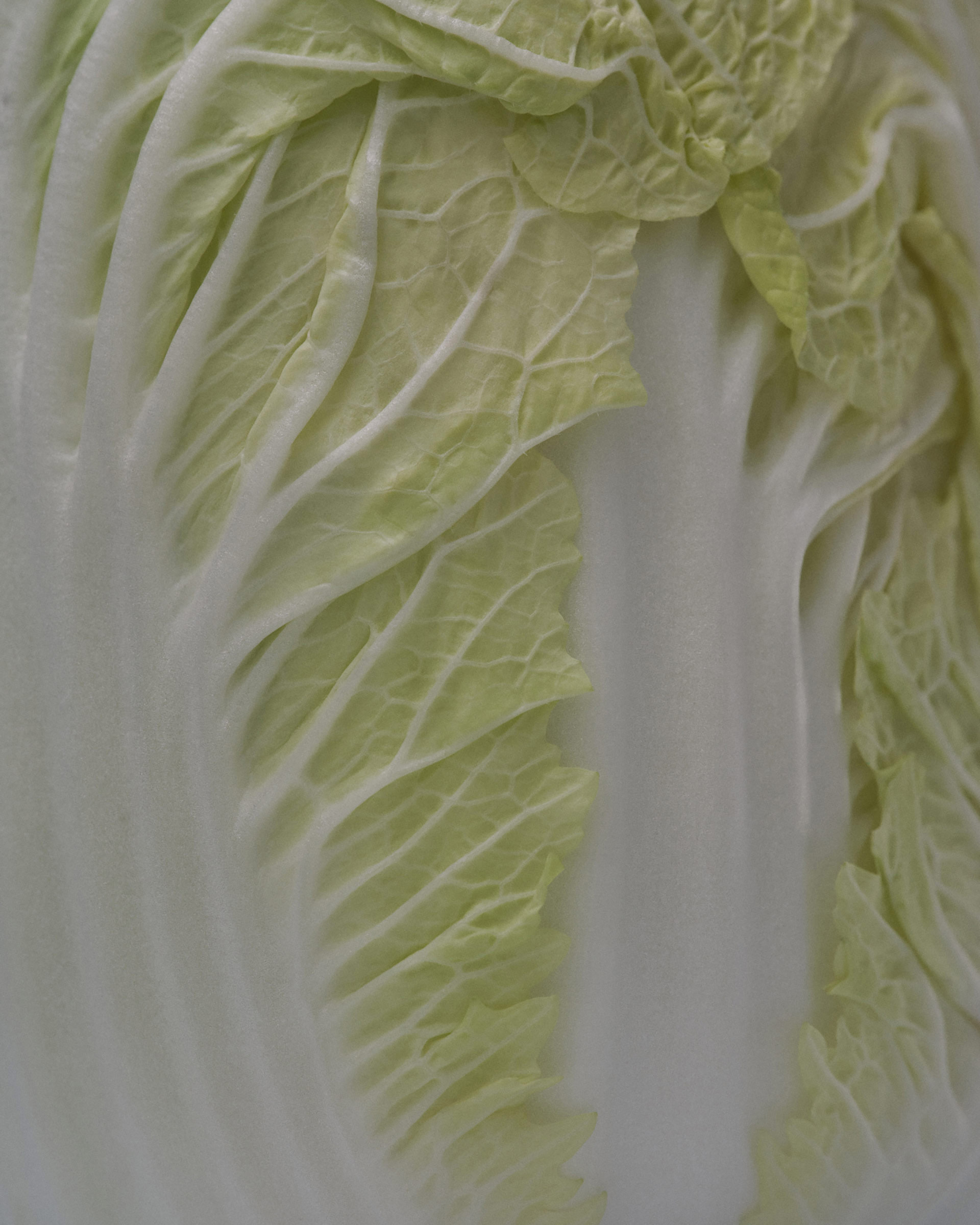 VNTNR Summer 2024 November, 2024 by  Victoria Zschommler Natalie Turnbull