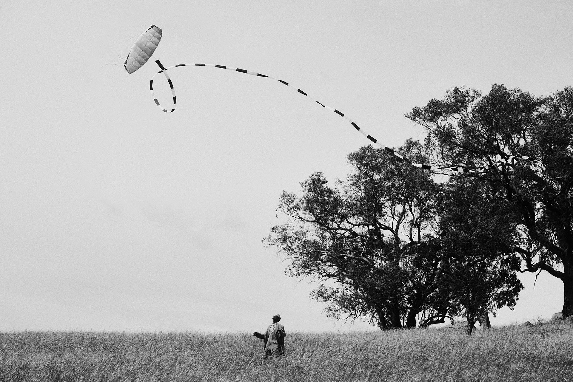 Elbazin Magazine The Sky Between Us January, 2025 by  Lilli Waters