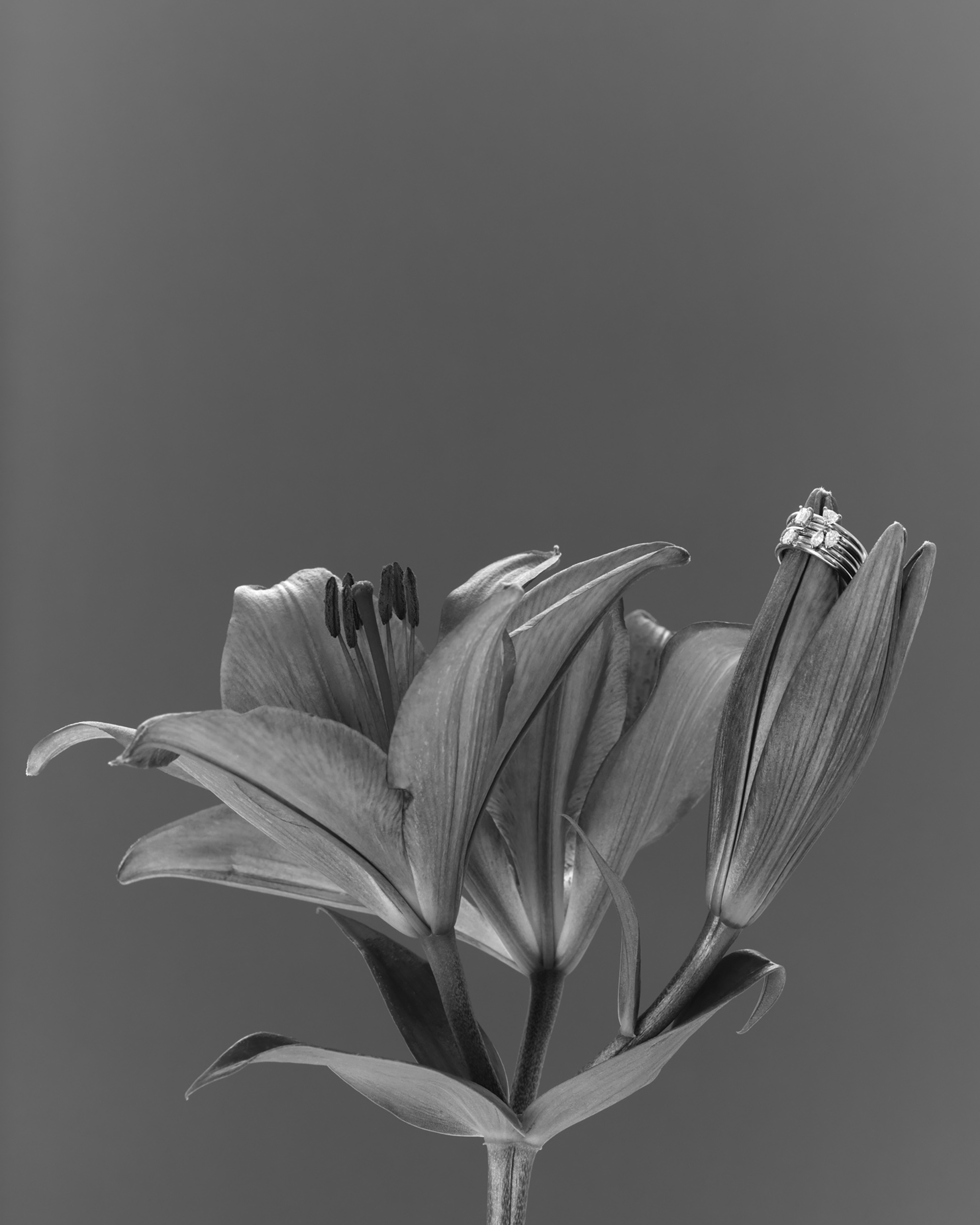 Kate & Kole Valentines March, 2025 by  Victoria Zschommler