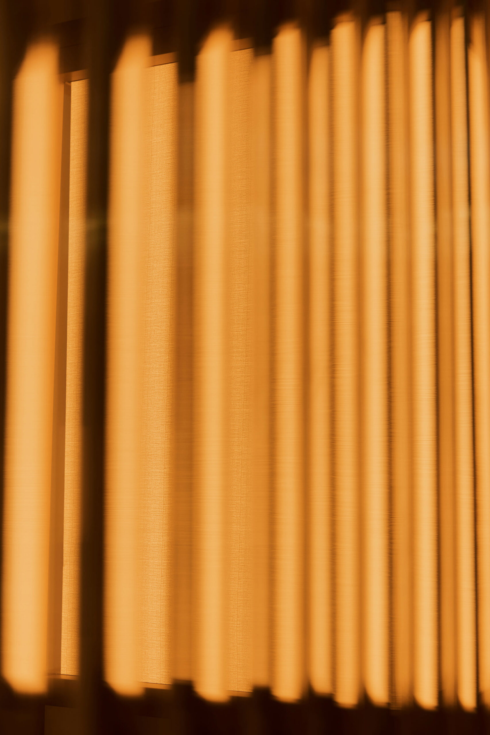 Grand Prix Ritz-Carlton March, 2025 by  Lilli Waters