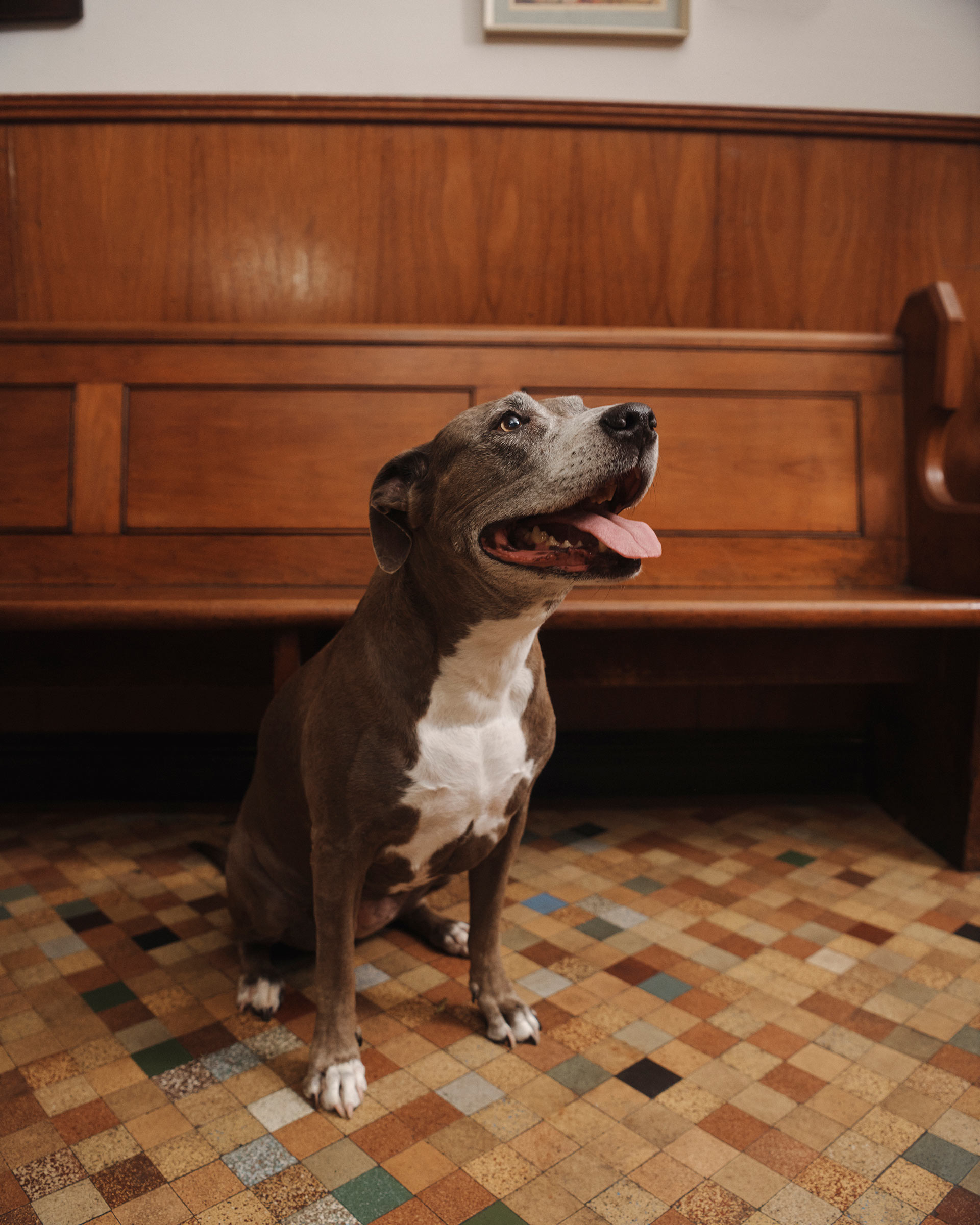 Marcs In Good Company April, 2025 by  Drew Wheeler