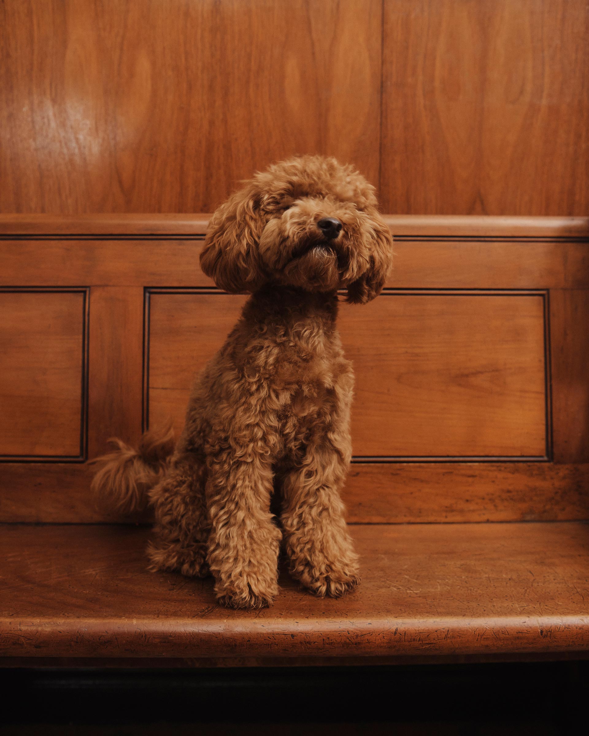 Marcs In Good Company April, 2025 by  Drew Wheeler