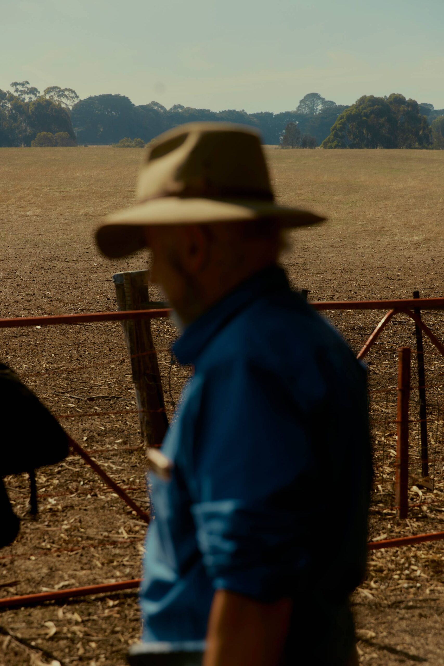 Mark Tuckey Melbourne Design Week April, 2025 by  Lilli Waters