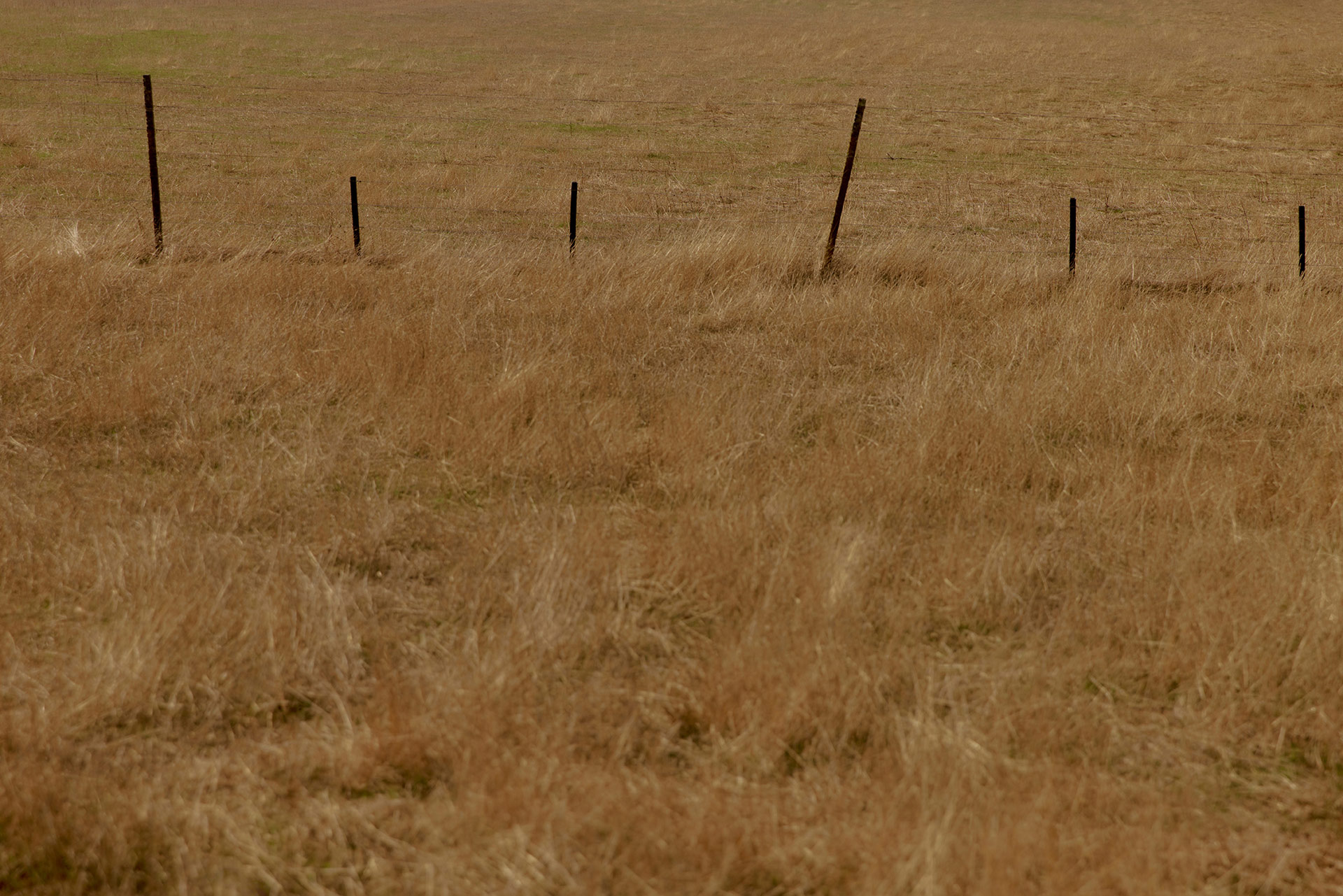 Mark Tuckey Melbourne Design Week April, 2025 by  Lilli Waters