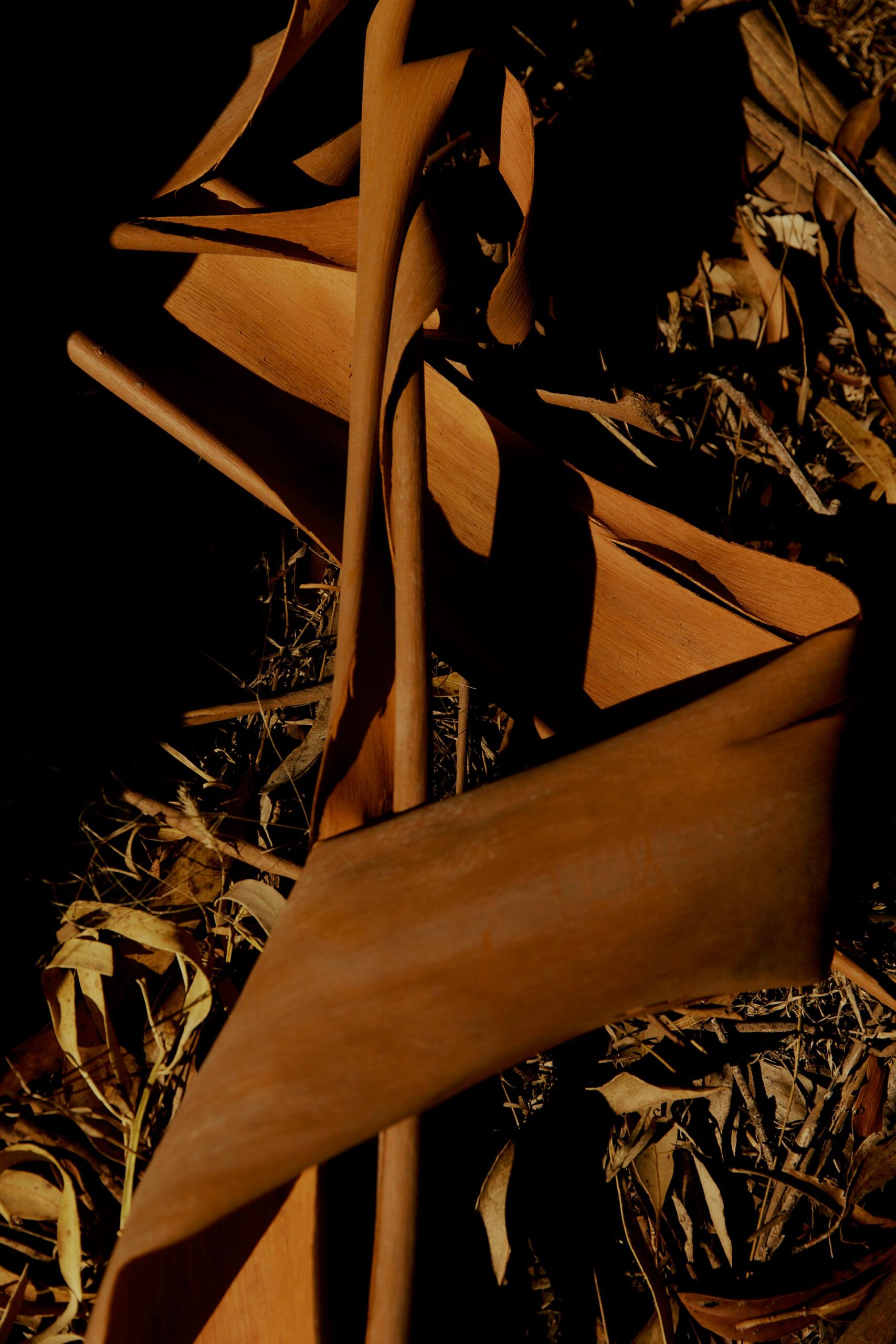 Mark Tuckey Melbourne Design Week April, 2025 by  Lilli Waters