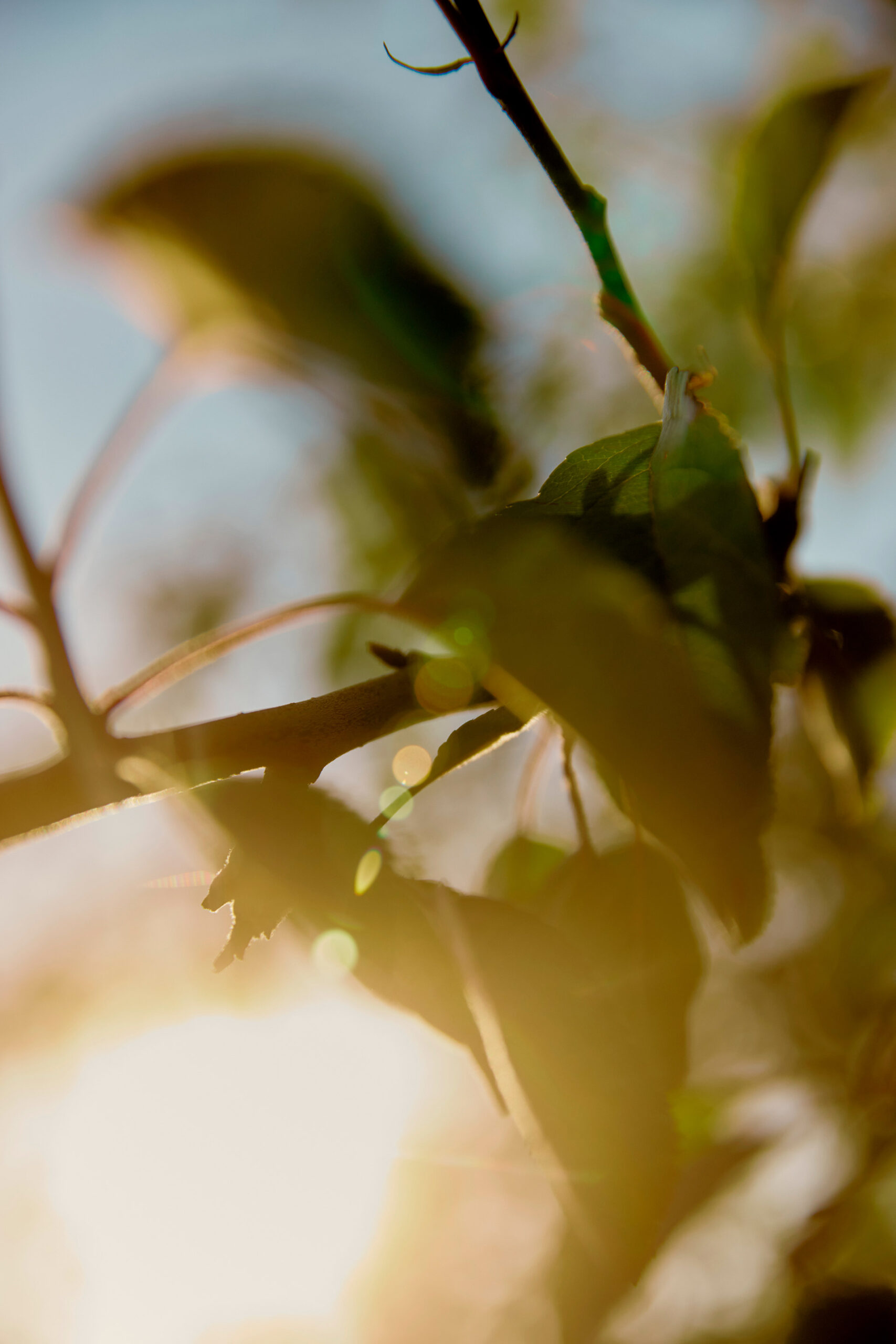 Mark Tuckey Melbourne Design Week April, 2025 by  Lilli Waters