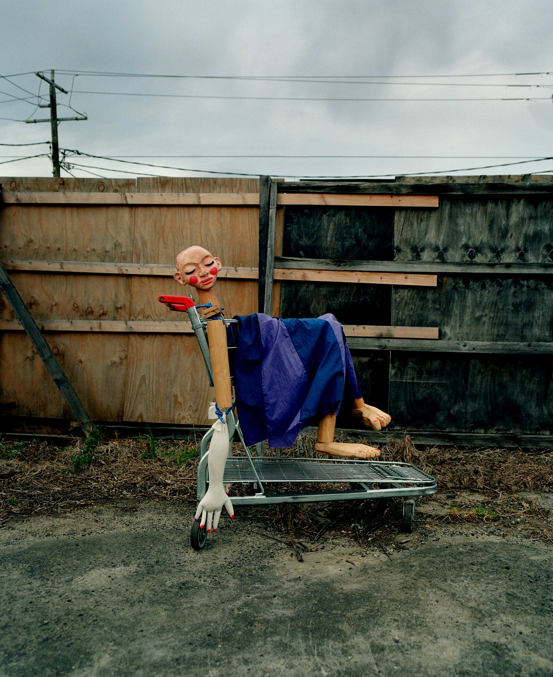 A-M Journal The Art of Puppetry August, 2025 by  Lilli Waters