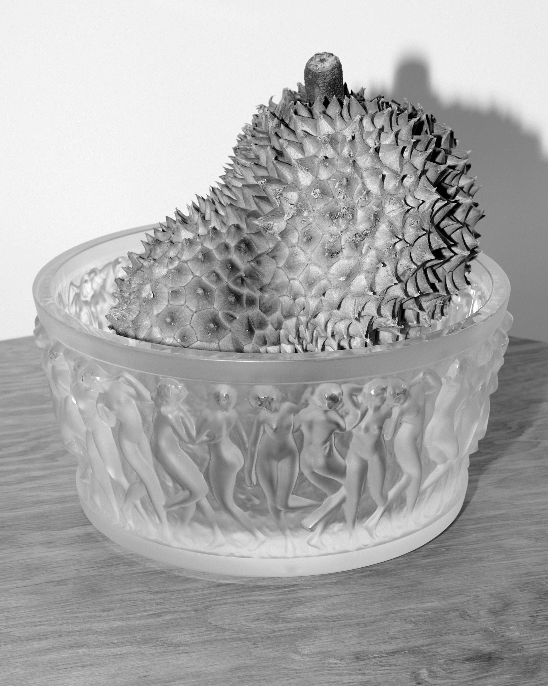 The Plant Fruity Bowls August, 2025 by  Natalie Turnbull