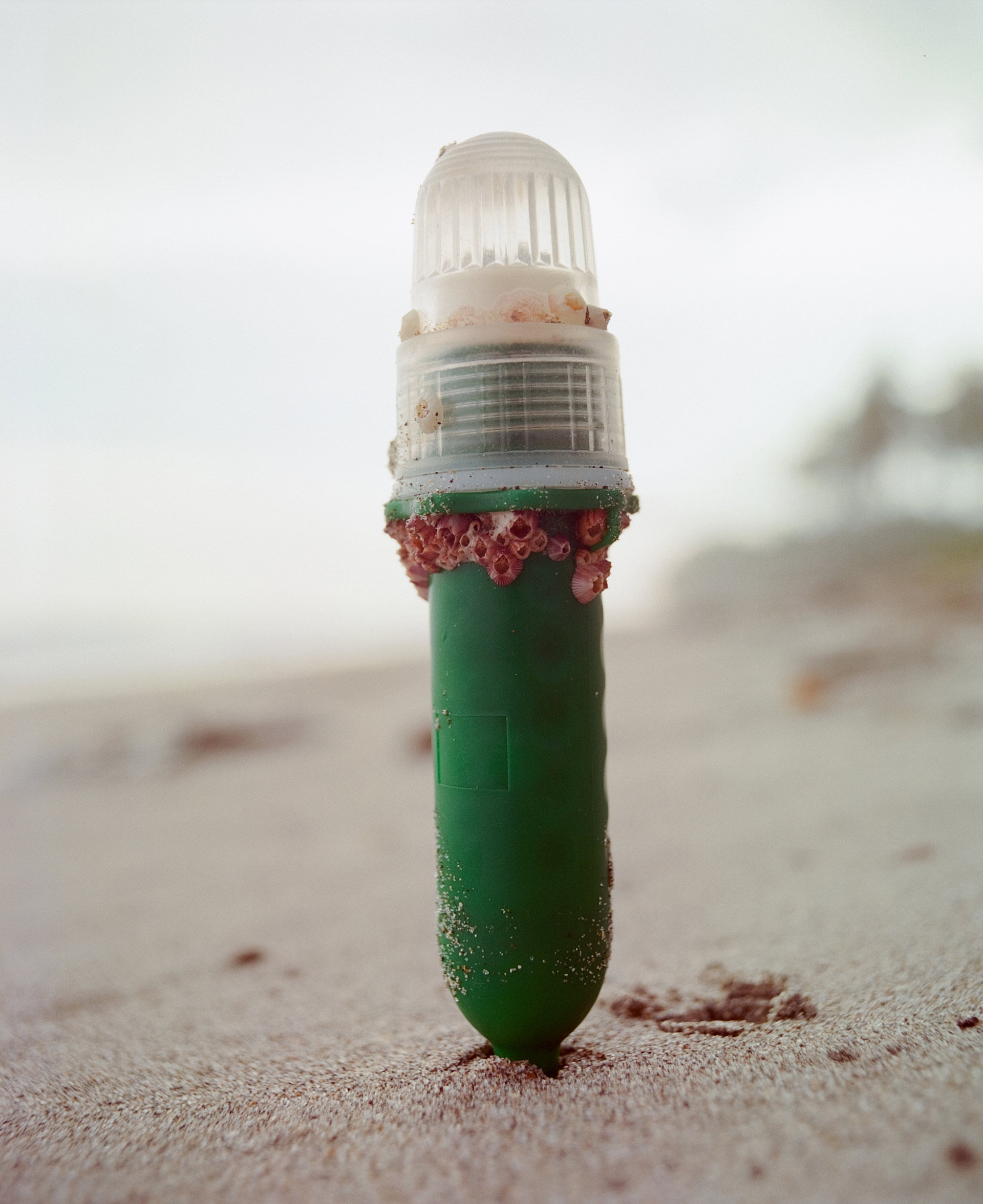 Personal Work Sumatra July, 2024 by  Drew Wheeler