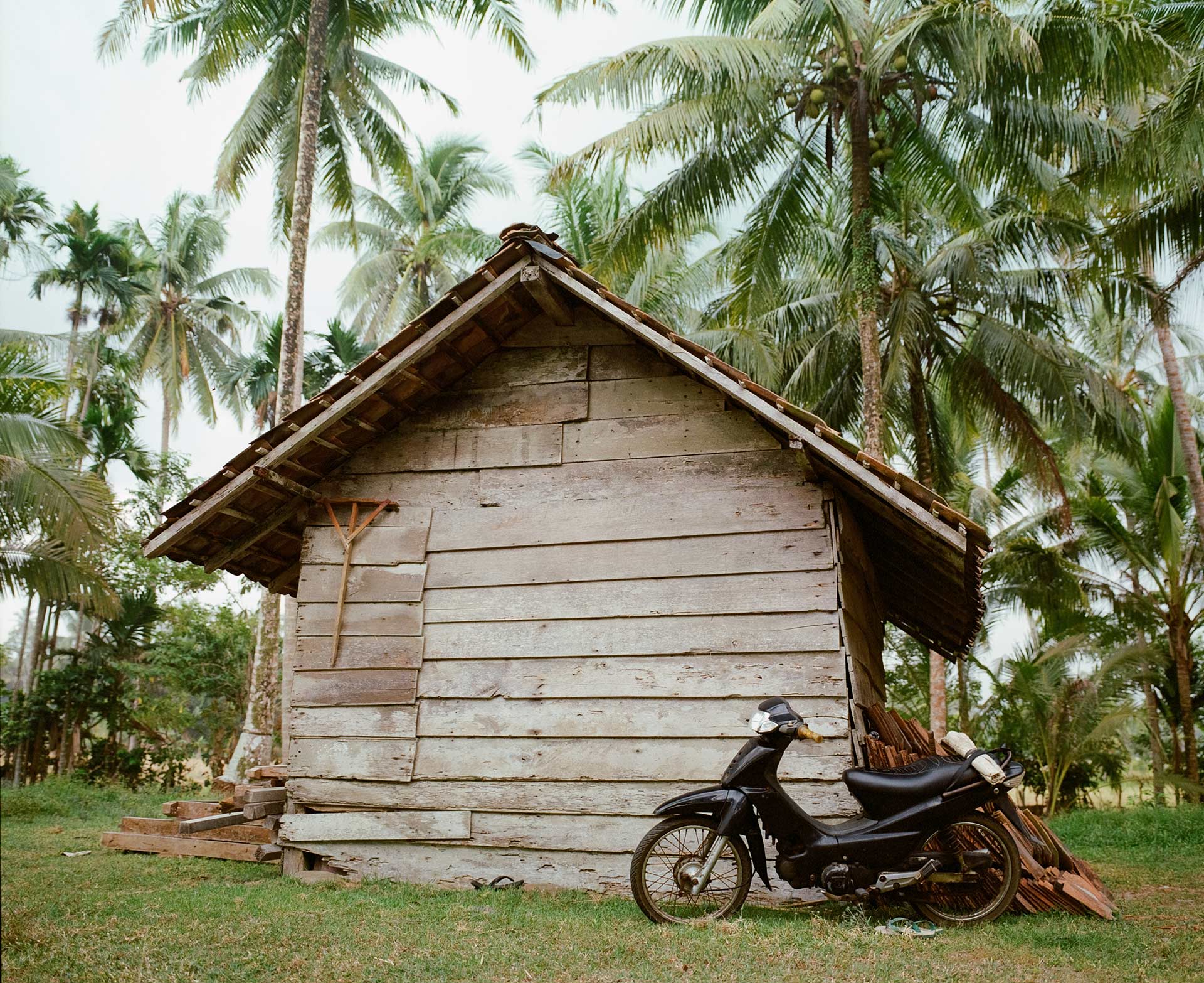 Personal Work Sumatra July, 2024 by  Drew Wheeler