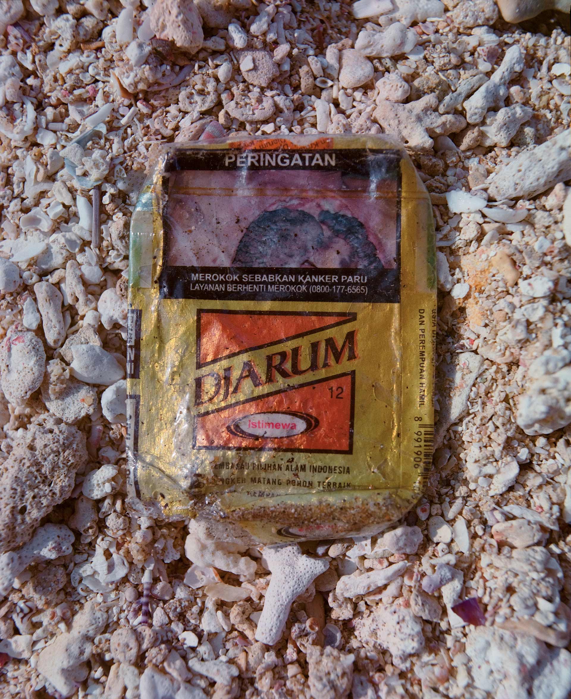 Personal Work Sumatra July, 2024 by  Drew Wheeler