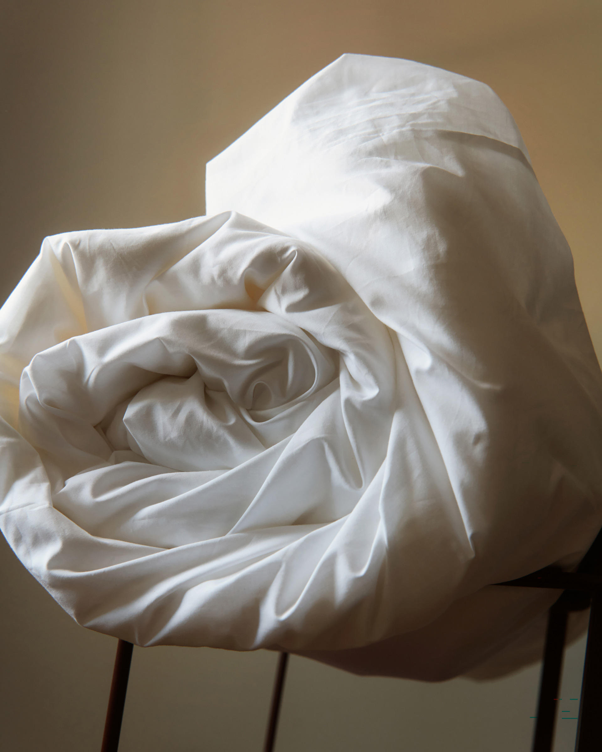 Bedthreads Cotton Campaign, August, 2025 by  Drew Wheeler