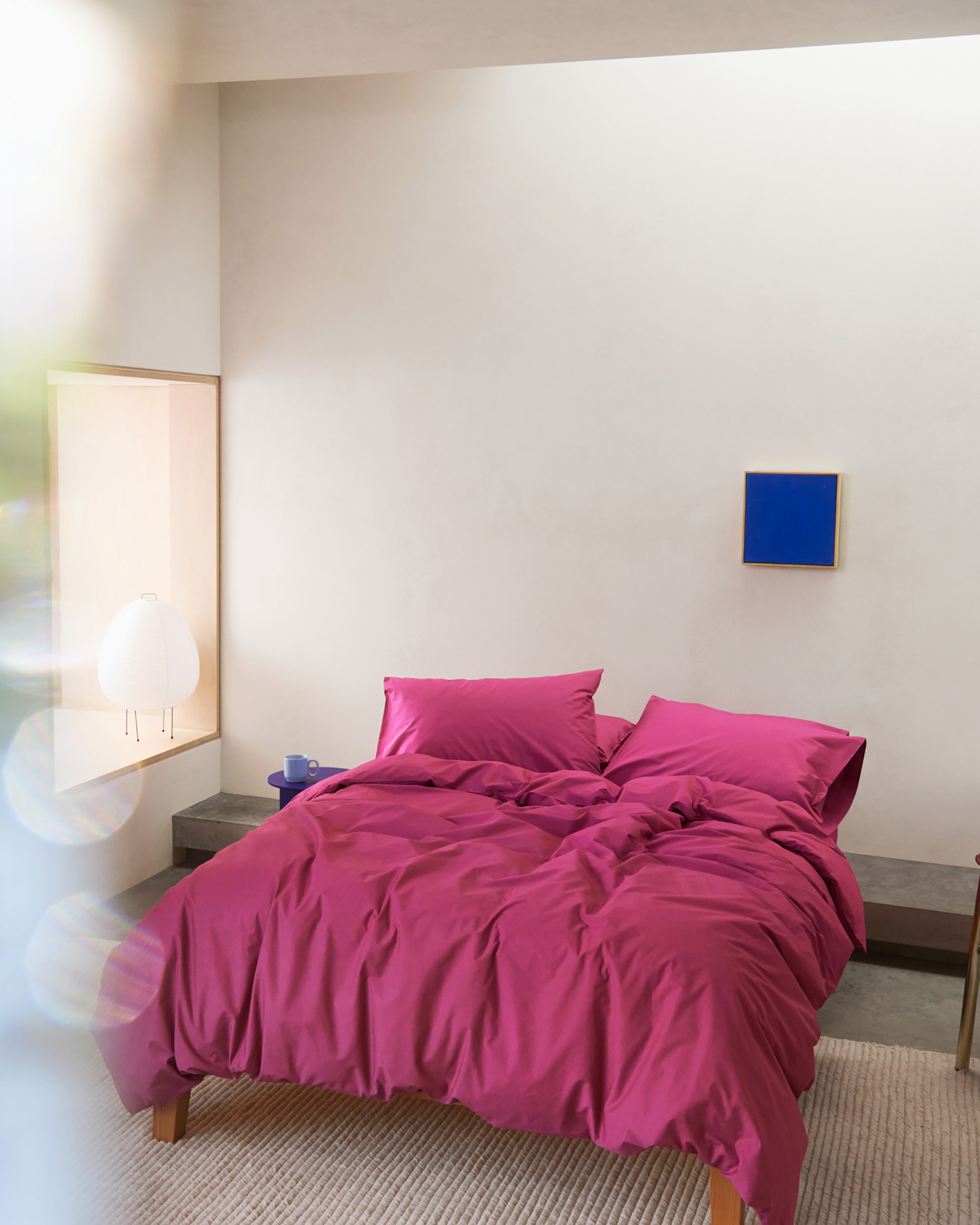 Bedthreads Cotton Campaign, August, 2025 by  Drew Wheeler