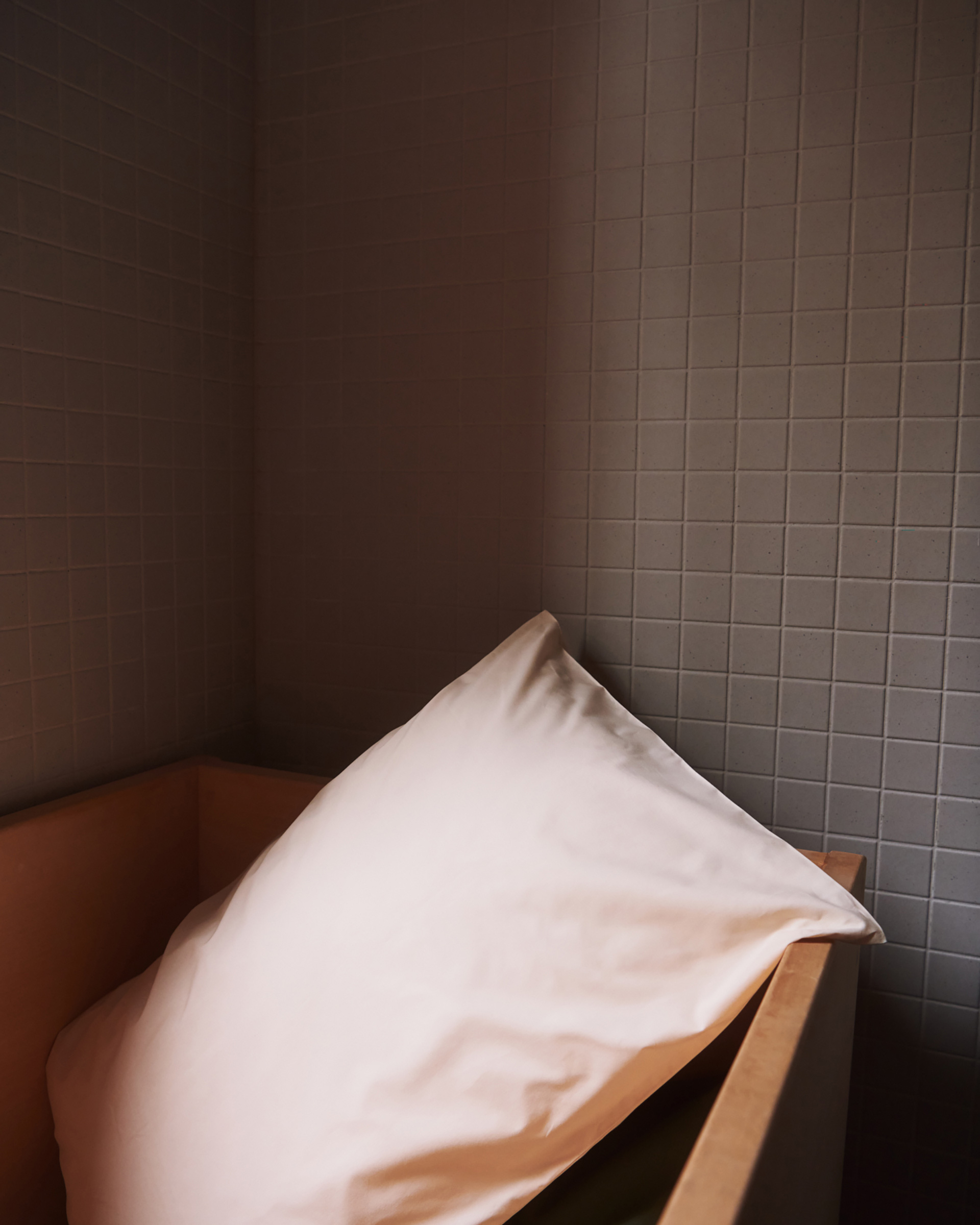 Bedthreads Cotton Campaign, August, 2025 by  Drew Wheeler