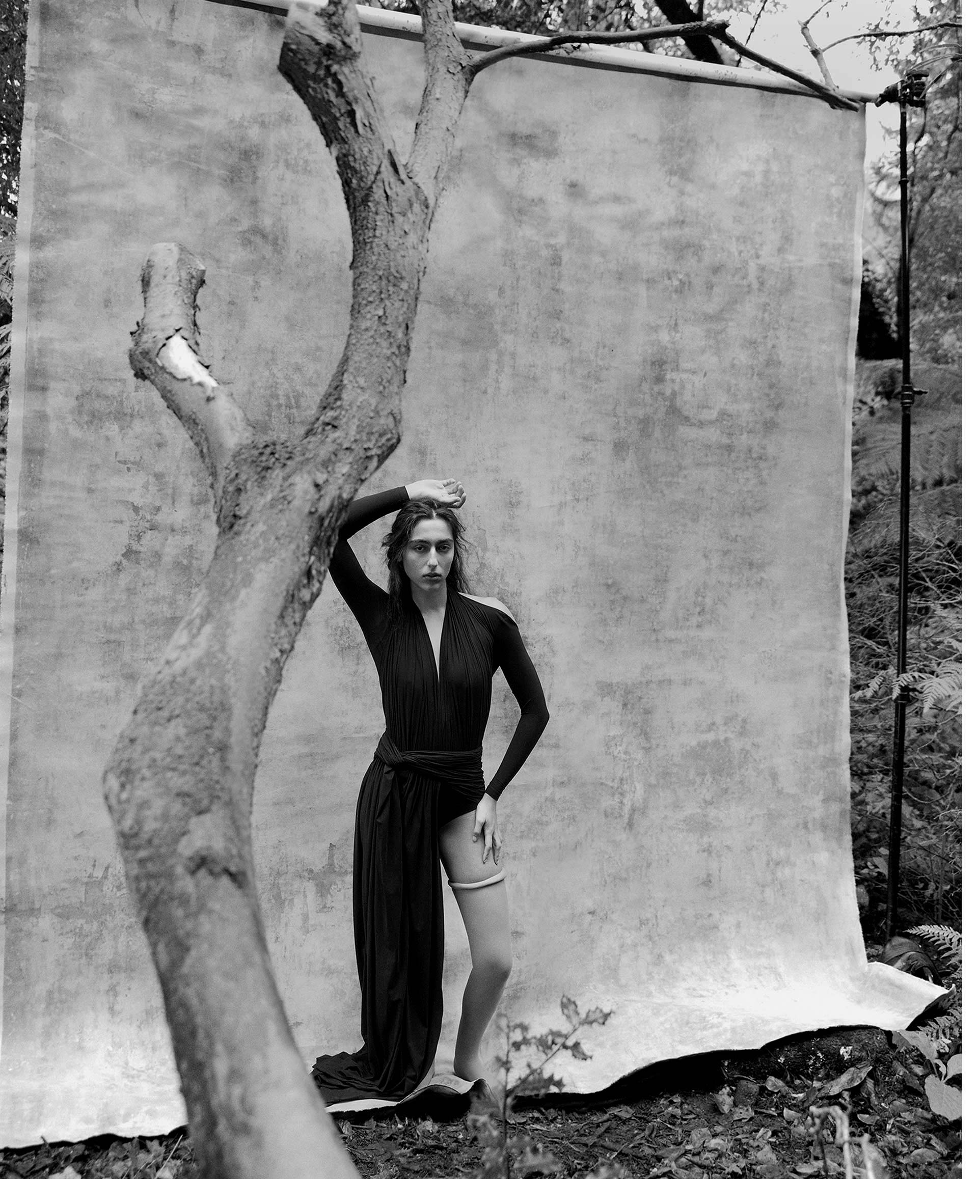 Alice D Magazine The Descent November, 2025 by  Lilli Waters