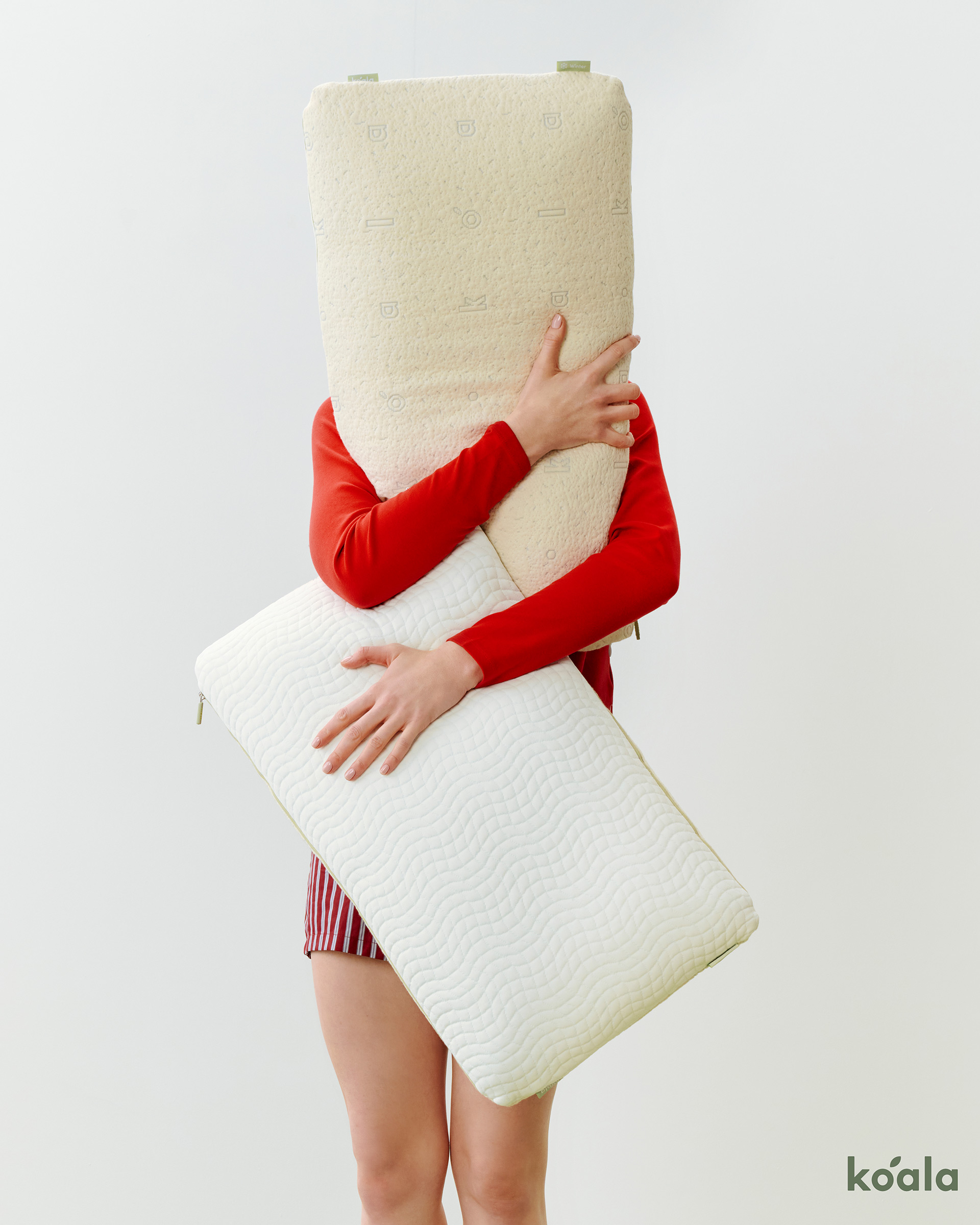 Koala Slip Into Sleep October, 2025 by  