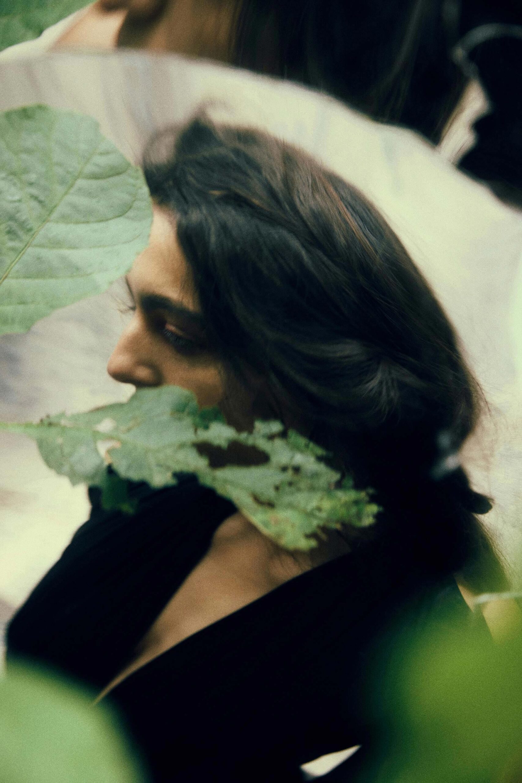 Alice D Magazine The Descent November, 2025 by  Lilli Waters