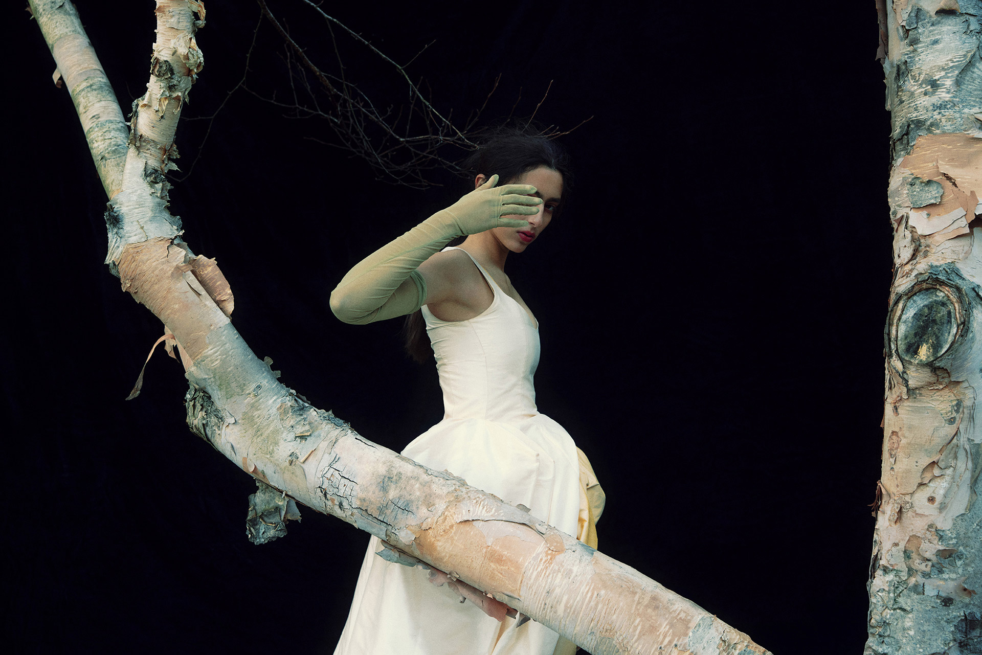 Alice D Magazine The Descent November, 2025 by  Lilli Waters