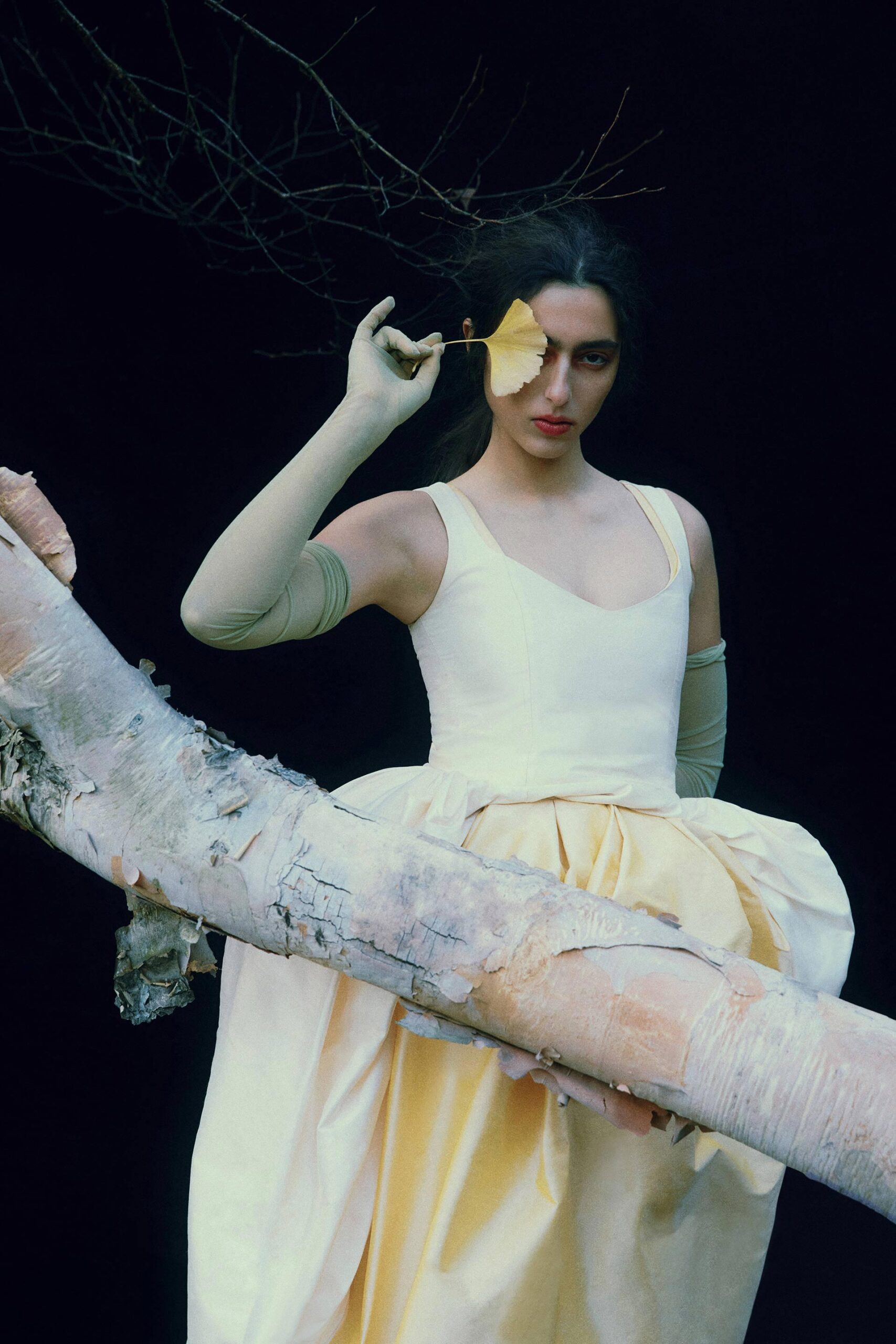 Alice D Magazine The Descent November, 2025 by  Lilli Waters