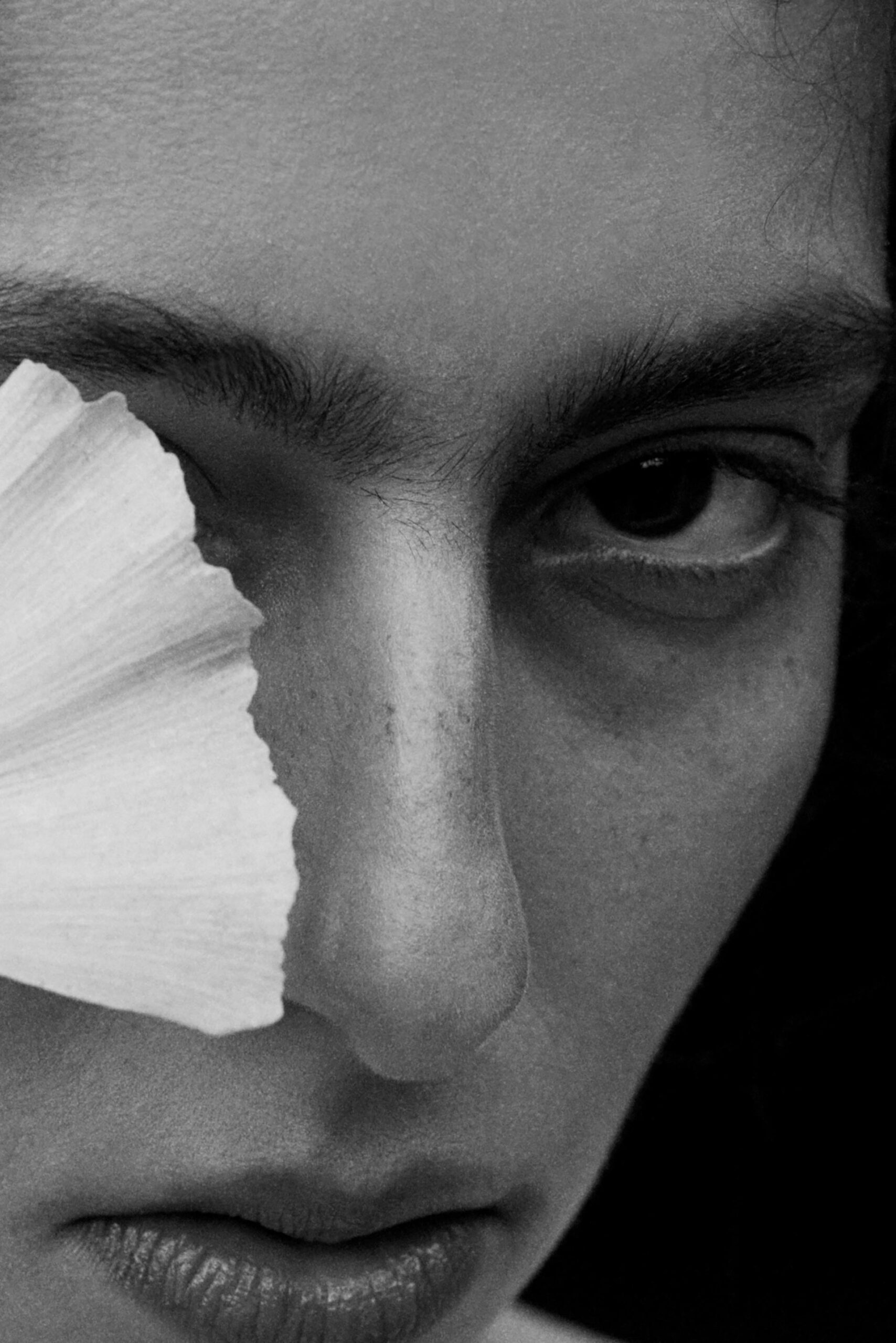 Alice D Magazine The Descent November, 2025 by  Lilli Waters