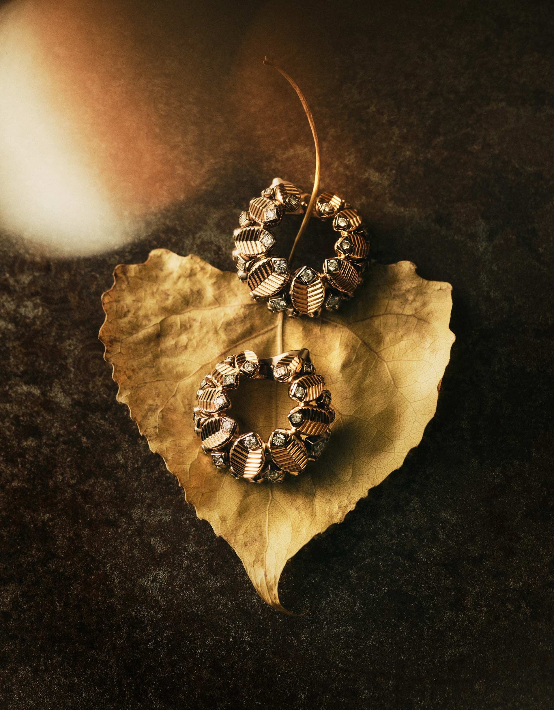 Numero NY Still Life September, 2025 by  Natalie Turnbull