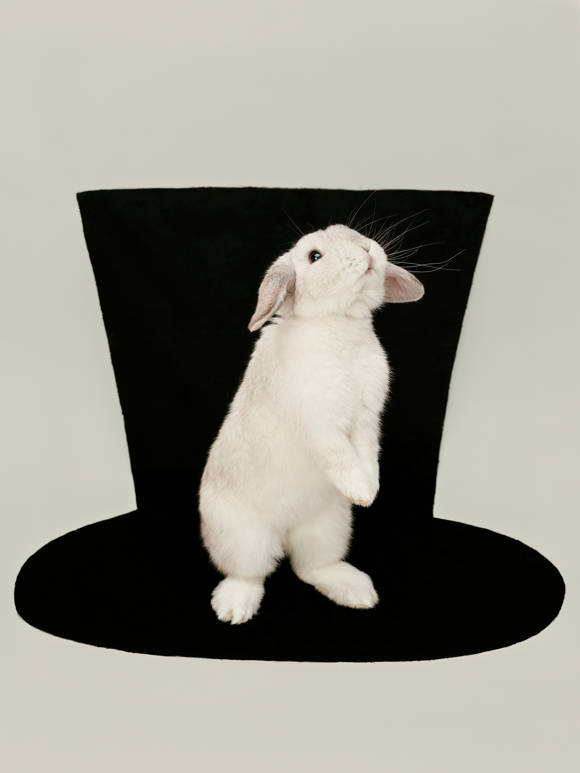 Personal Work Make Believe September, 2025 by  Henry King