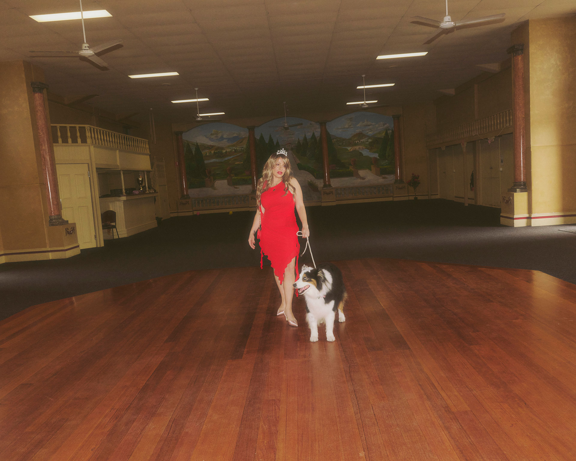 Dog show Personal work January, 2026 by  Jo Duck