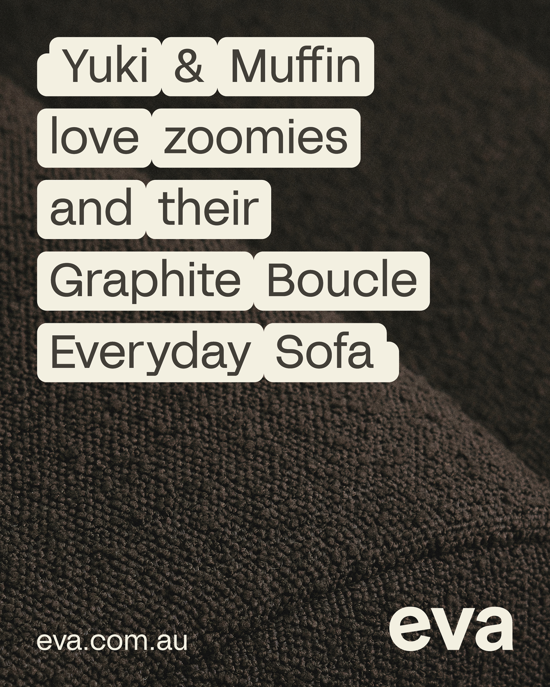 Eva Everyday January, 2024 by  Henry King