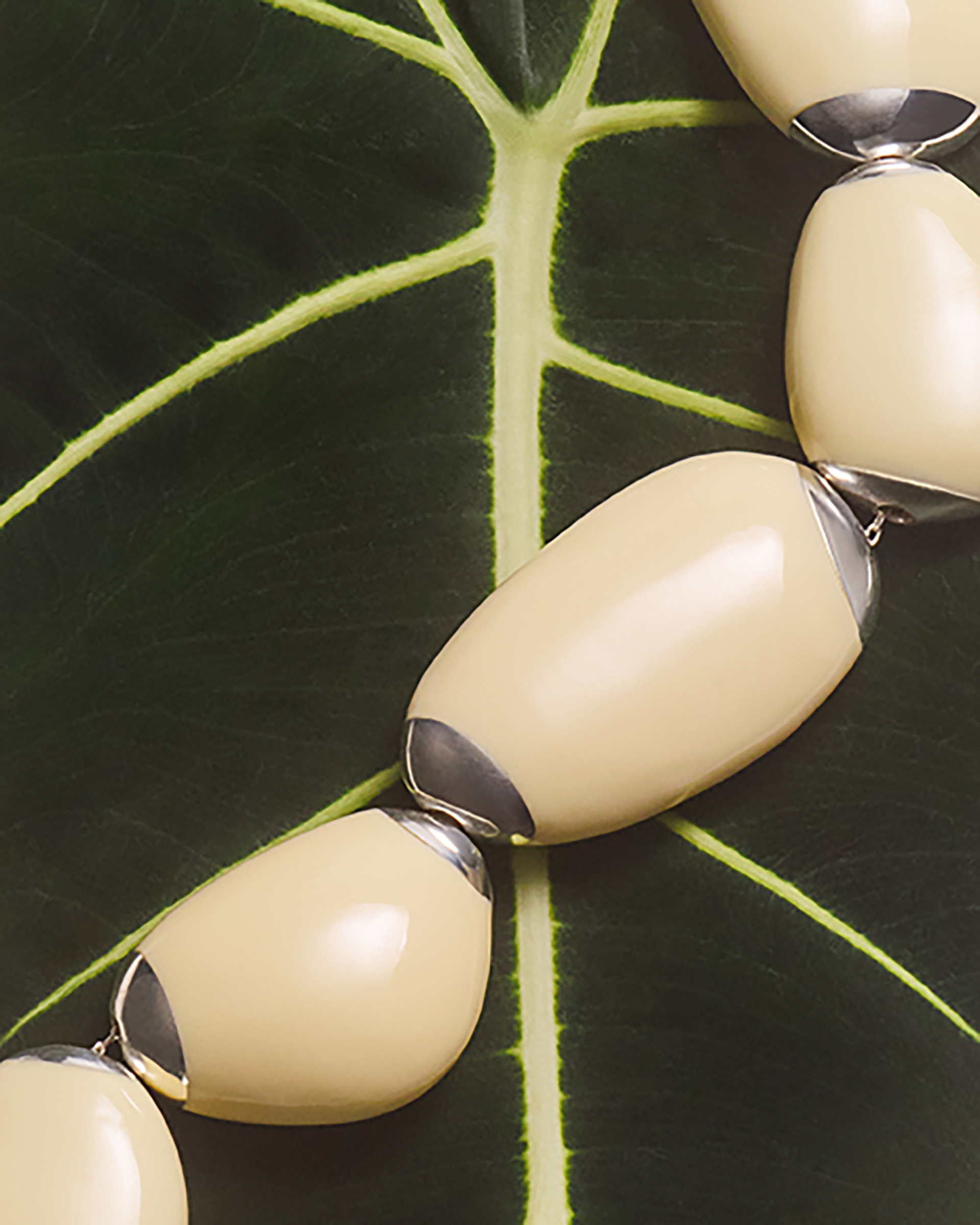 Dinosaur Designs Lichen Collection February, 2026 by  Lilli Waters Natalie Turnbull