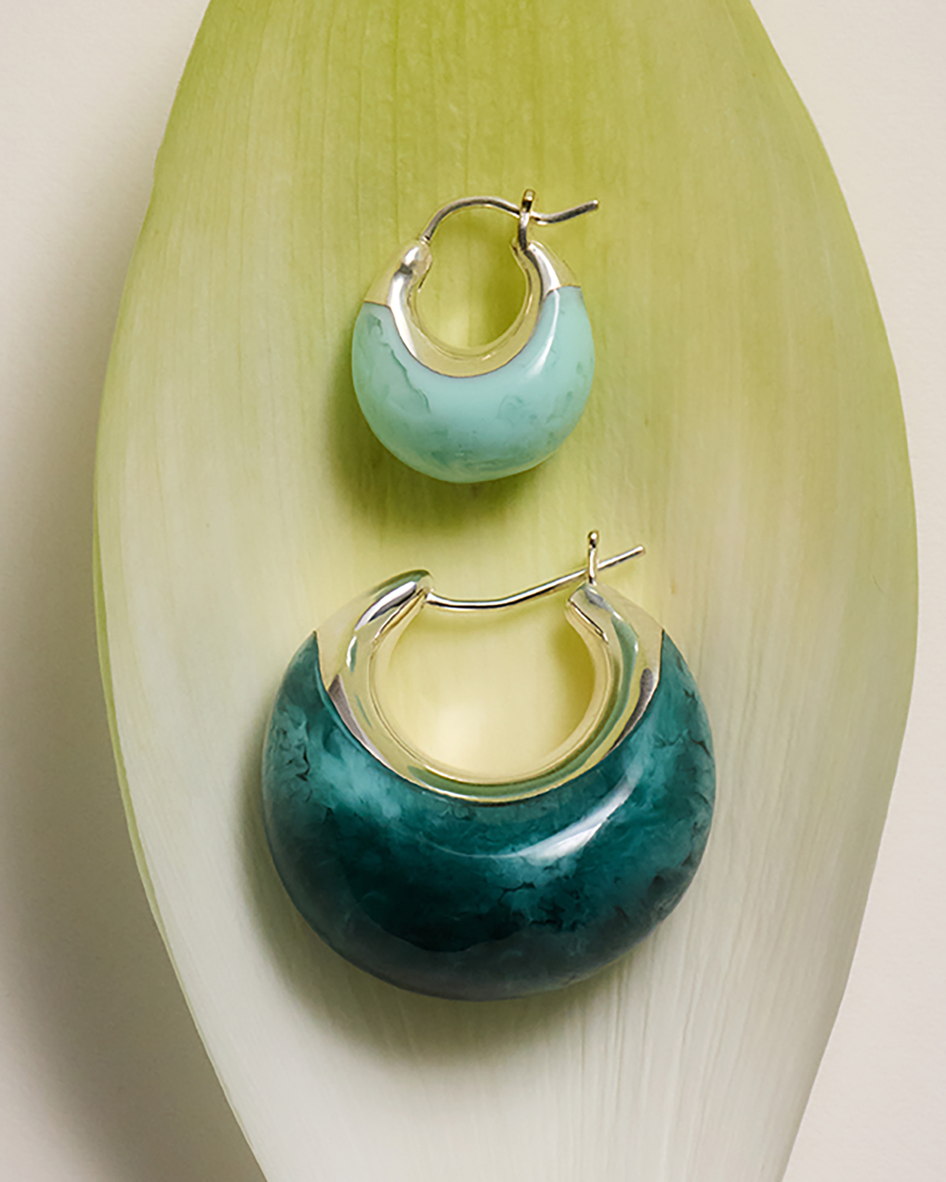 Dinosaur Designs Lichen Collection February, 2026 by  Lilli Waters Natalie Turnbull