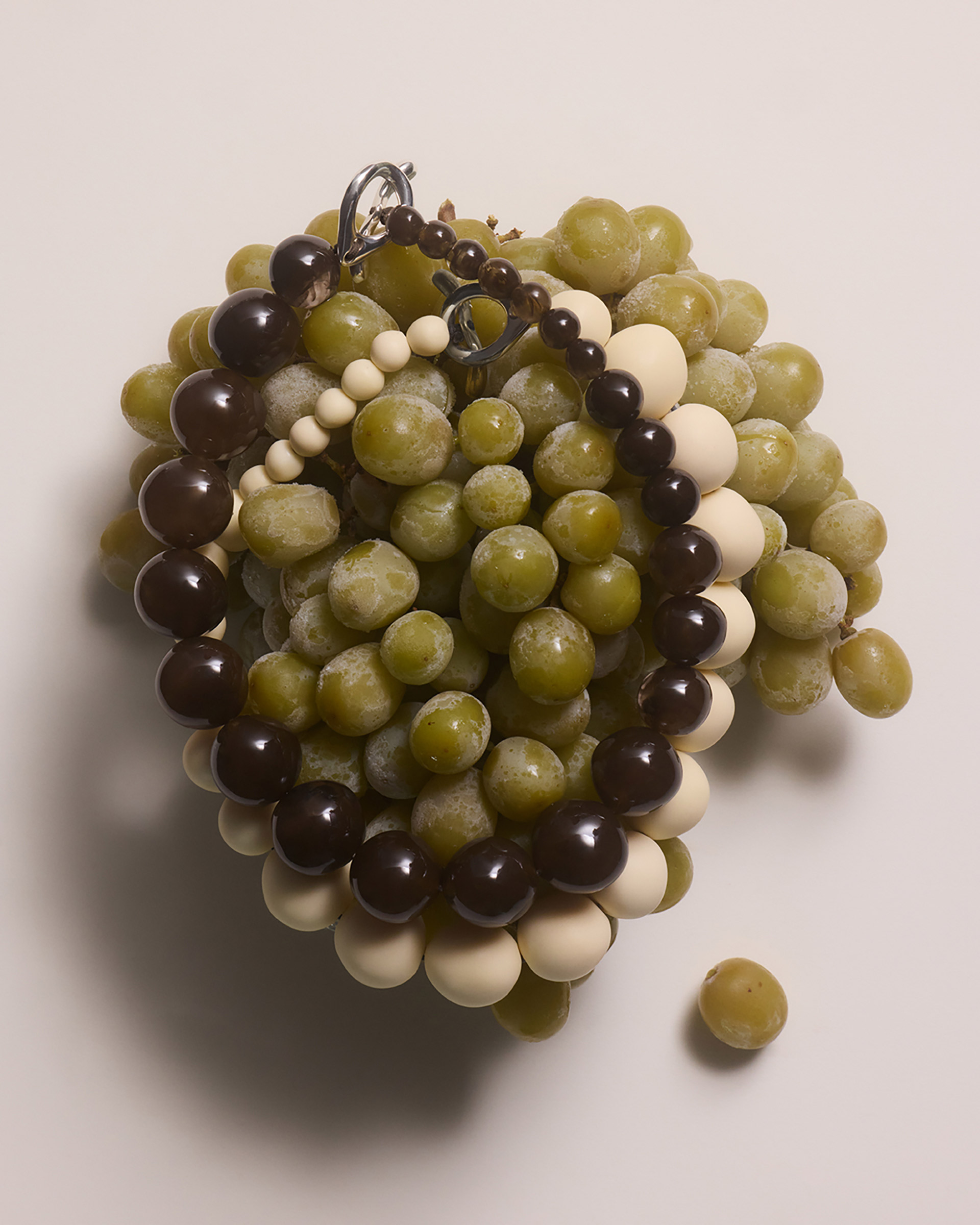 Dinosaur Designs Lichen Collection February, 2026 by  Lilli Waters Natalie Turnbull